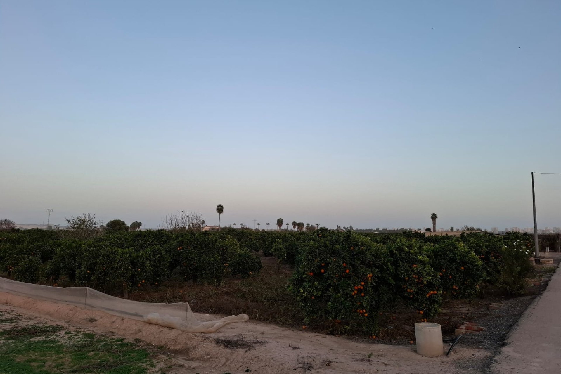 Sale - Parcelle - Guardamar del Segura - Guardamar Playa