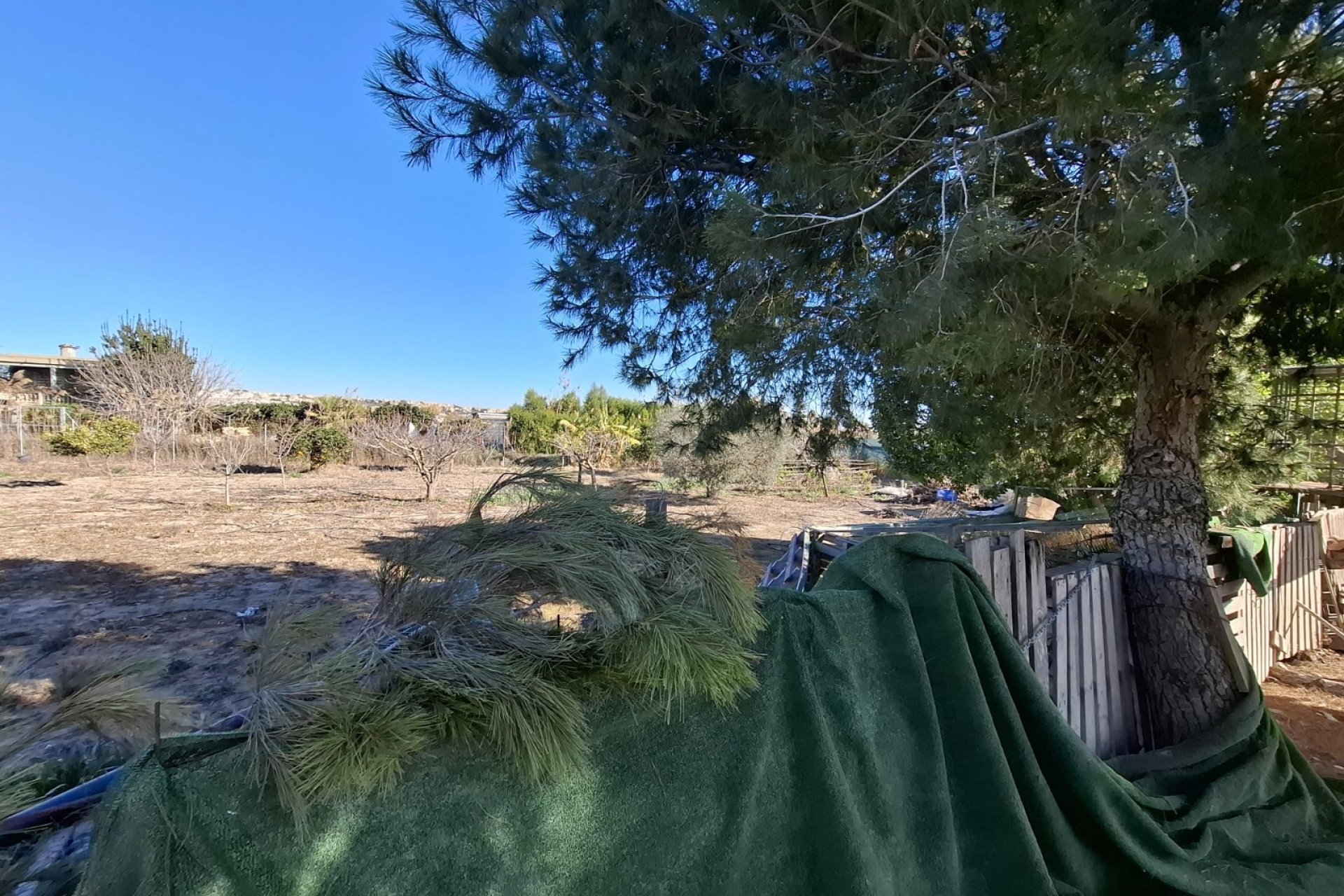 Sale - Parcelle - Guardamar del Segura - Guardamar pueblo