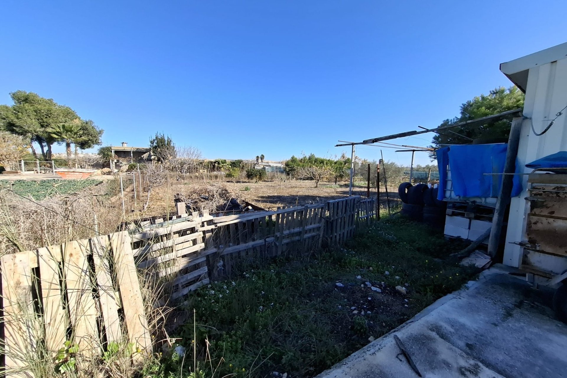 Sale - Parcelle - Guardamar del Segura - Guardamar pueblo