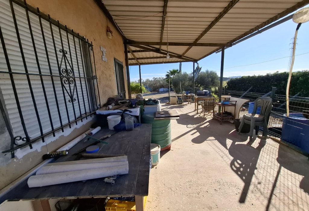 Sale - Parcelle - Guardamar del Segura - Guardamar pueblo