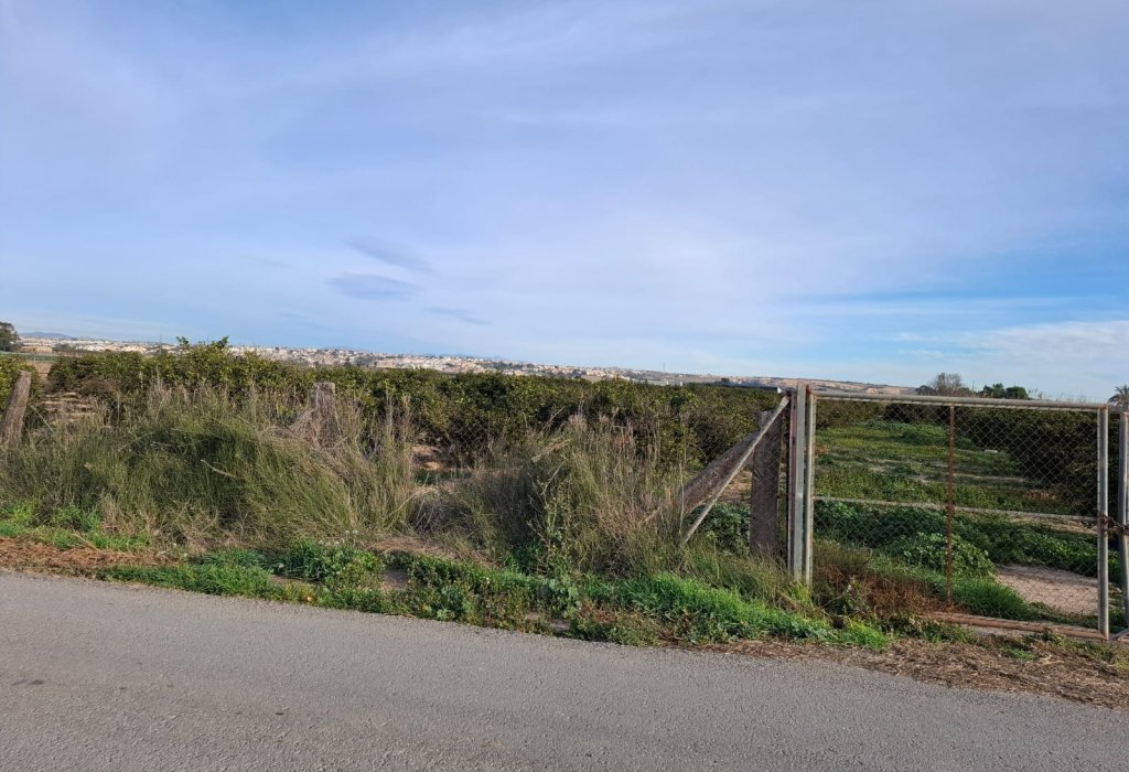 Sale - Parcelle - Guardamar del Segura - Urbanizaciones