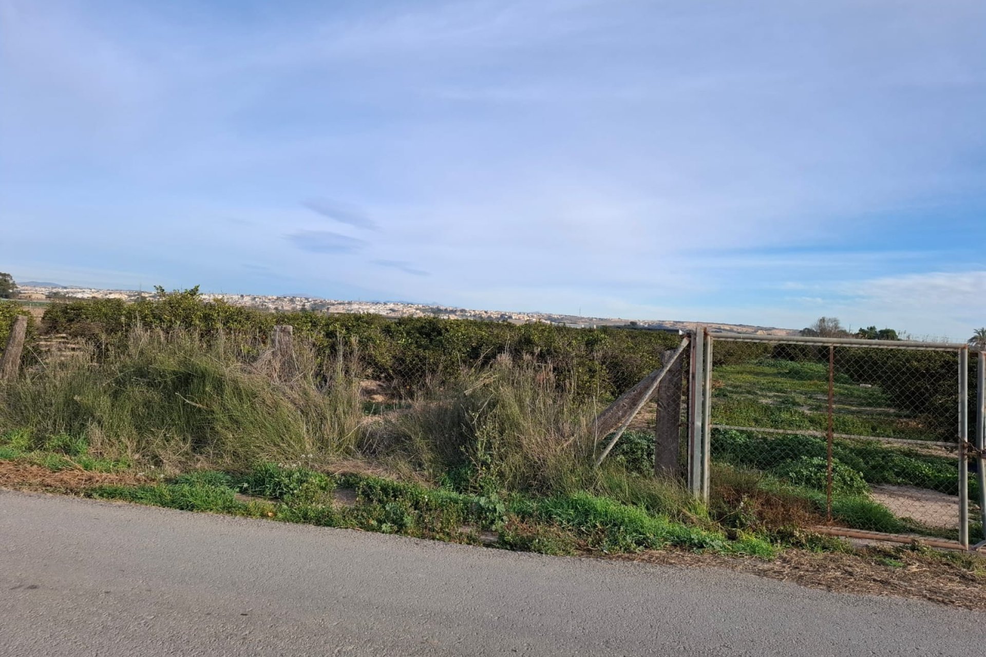 Sale - Parcelle - Guardamar del Segura - Urbanizaciones