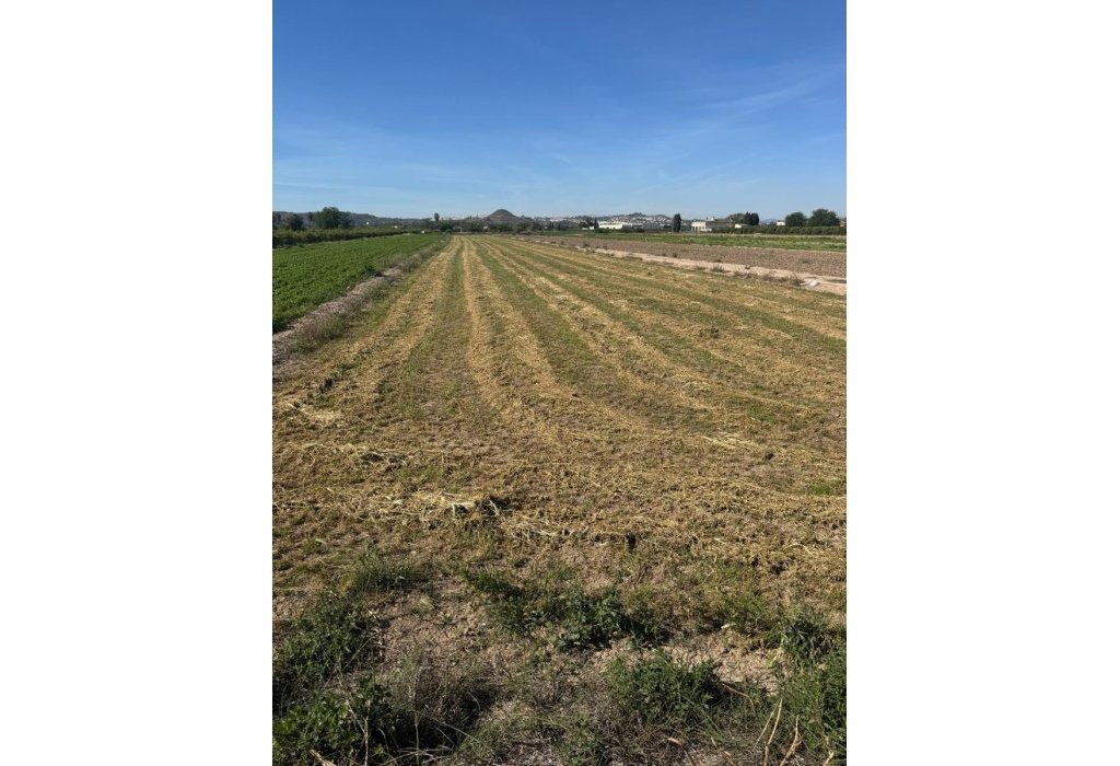 Sale - Parcelle - Guardamar del Segura