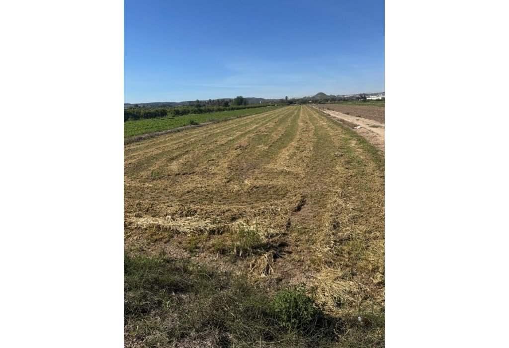 Sale - Parcelle - Guardamar del Segura