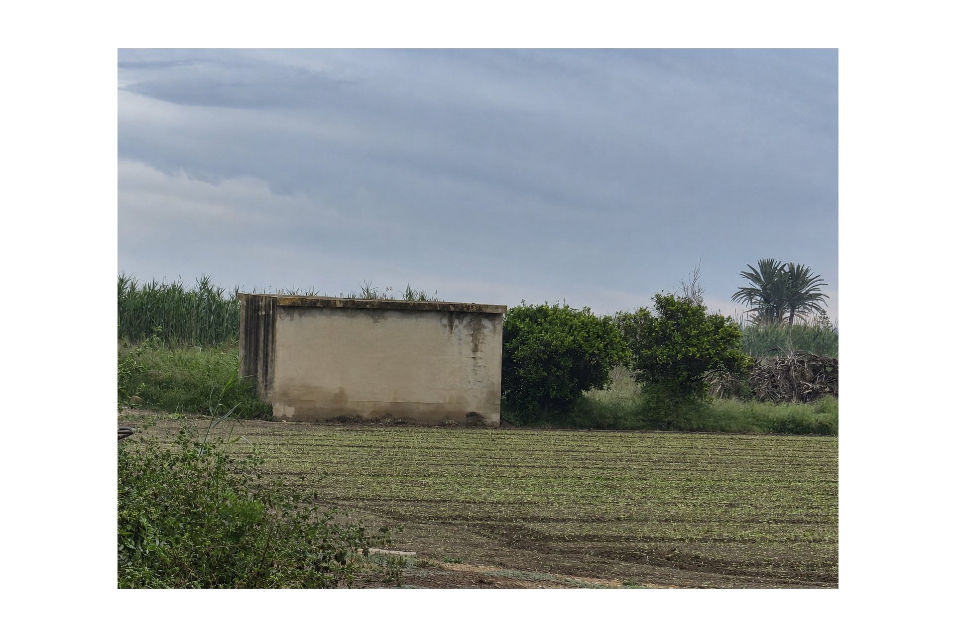 Sale - Parcelle - Guardamar del Segura