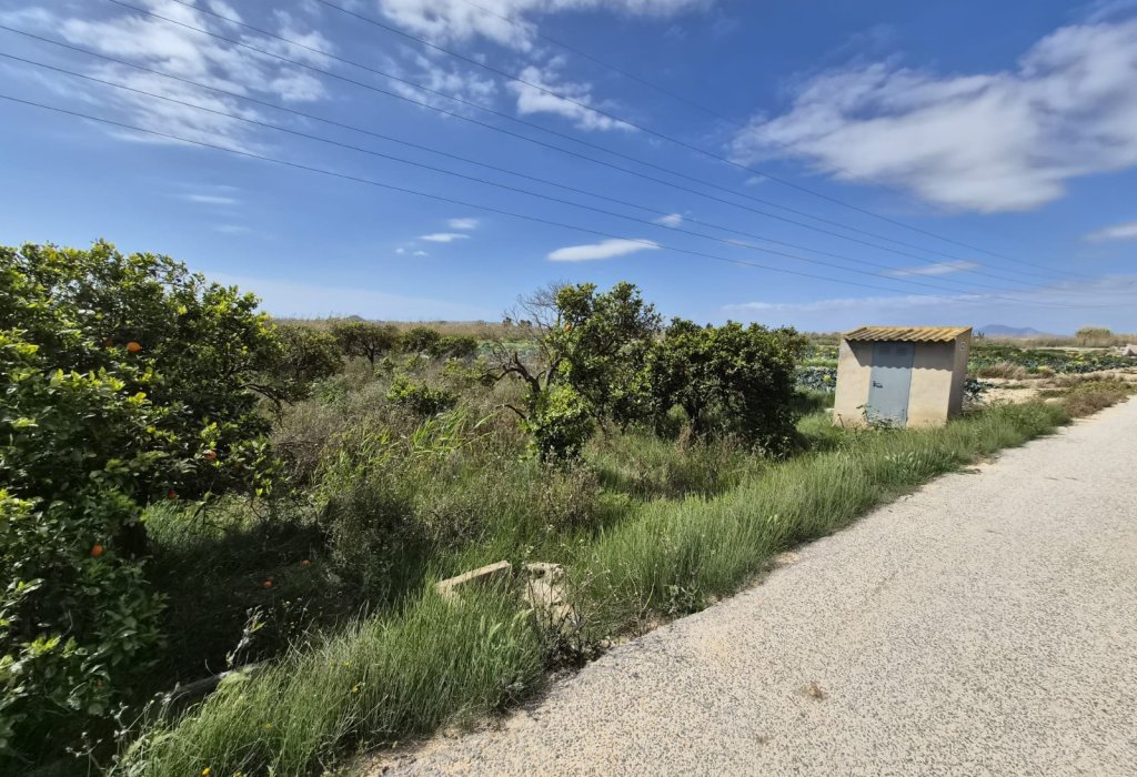 Sale - Parcelle - Guardamar del Segura