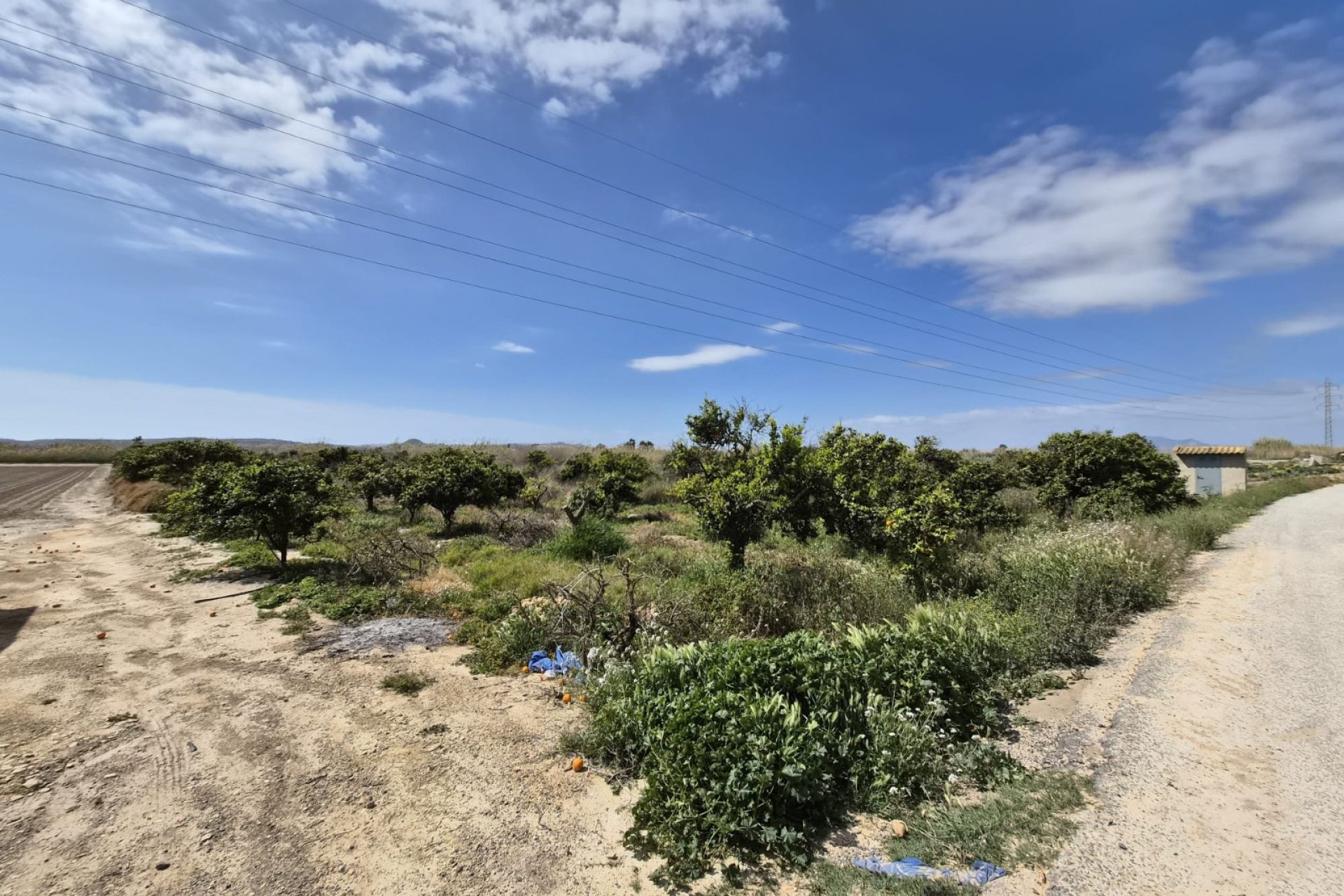 Sale - Parcelle - Guardamar del Segura