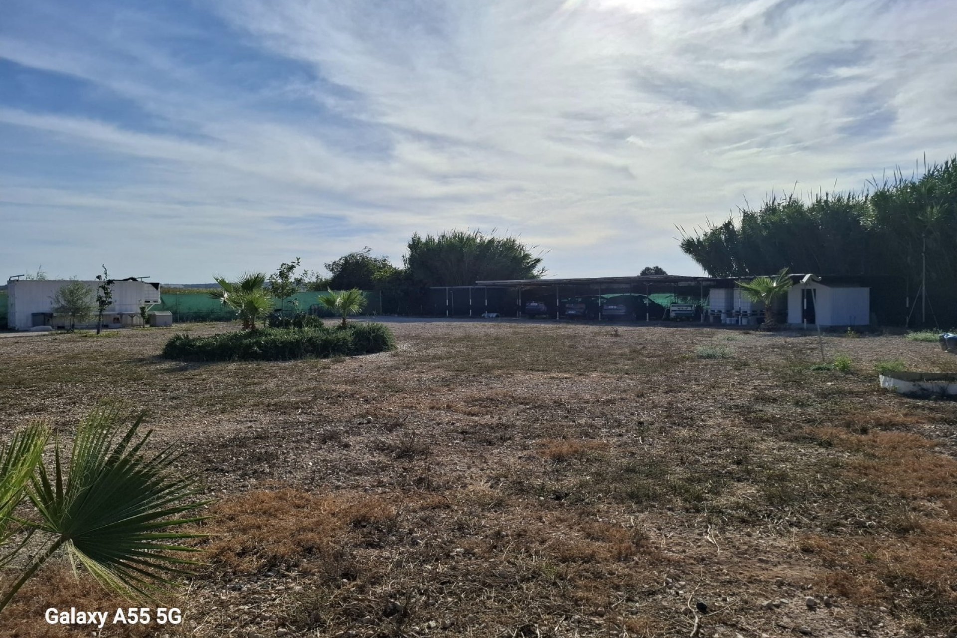 Sale - Parcelle - Guardamar del Segura