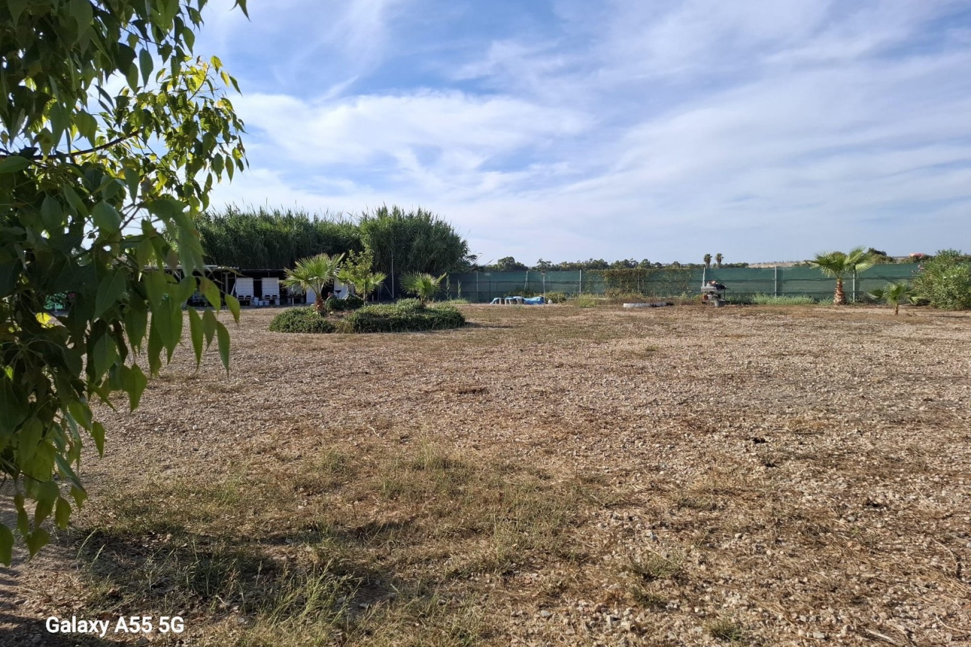 Sale - Parcelle - Guardamar del Segura