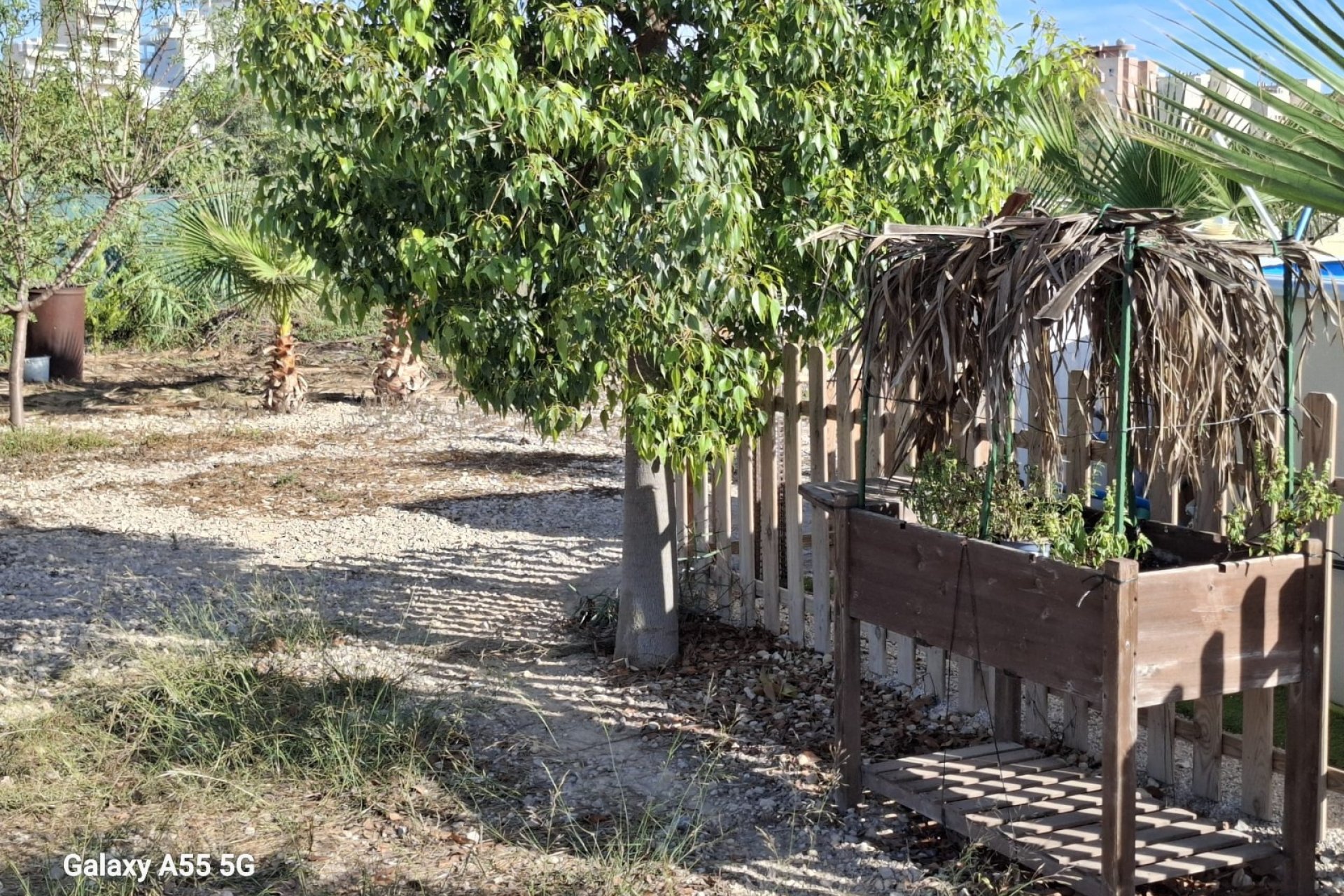 Sale - Parcelle - Guardamar del Segura