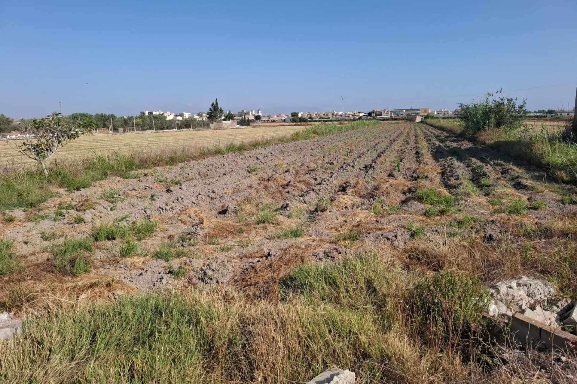 Sale - Parcelle - Rojales - Ciudad Quesada