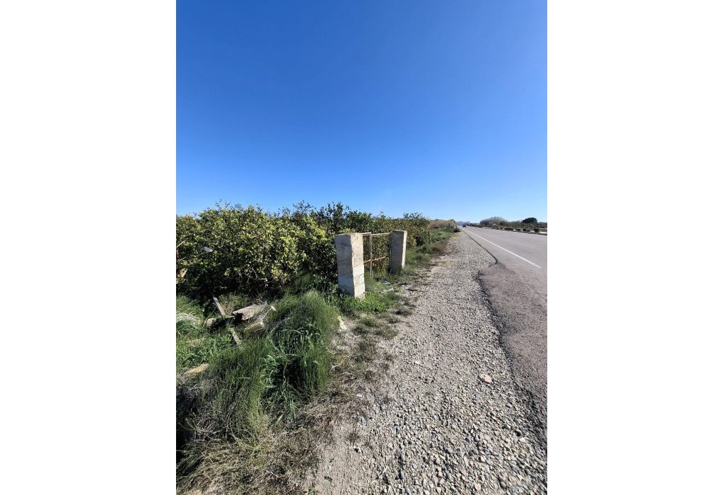 Sale - Parcelle - San Fulgencio