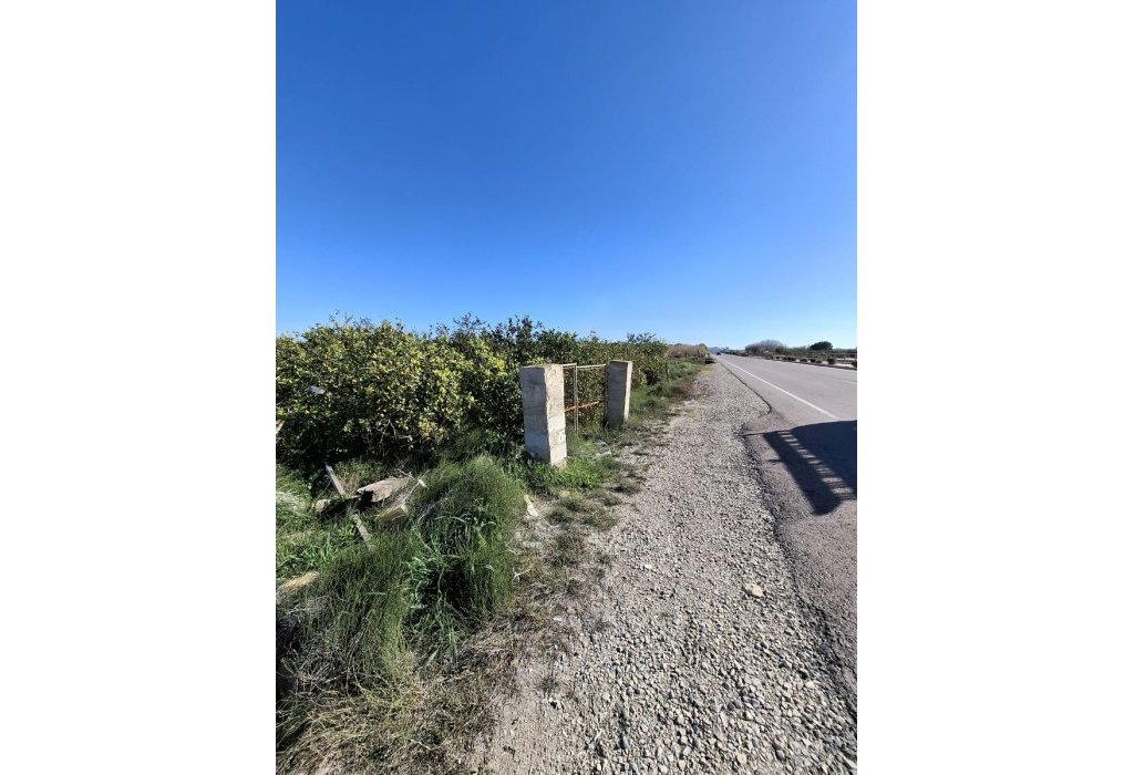 Sale - Parcelle - San Fulgencio