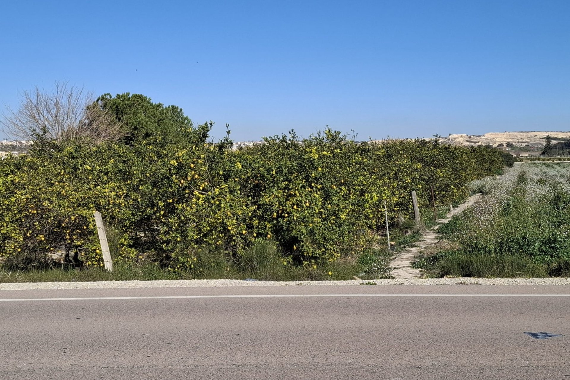 Sale - Parcelle - San Fulgencio