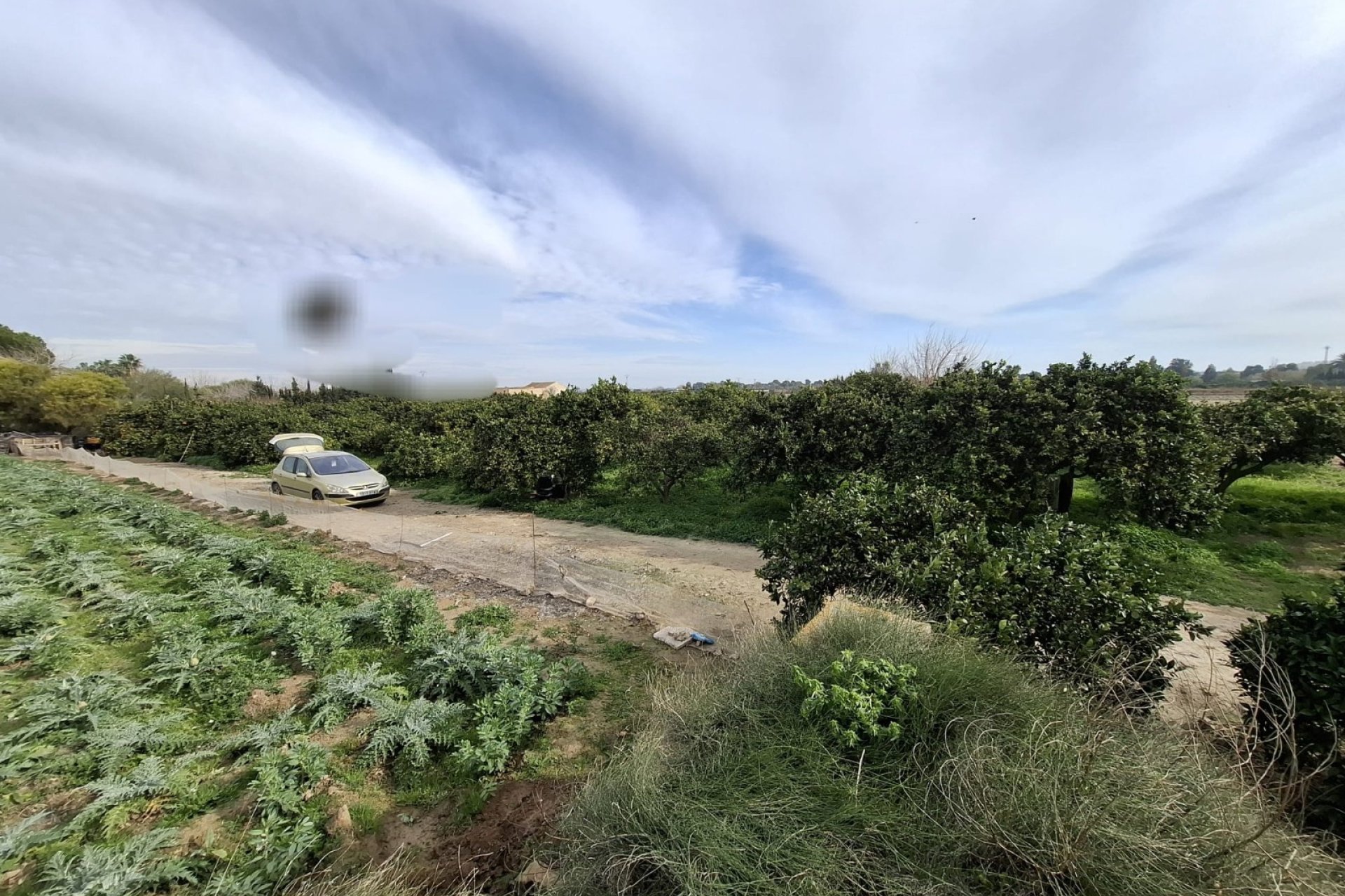 Sale - Parcelle - San Fulgencio