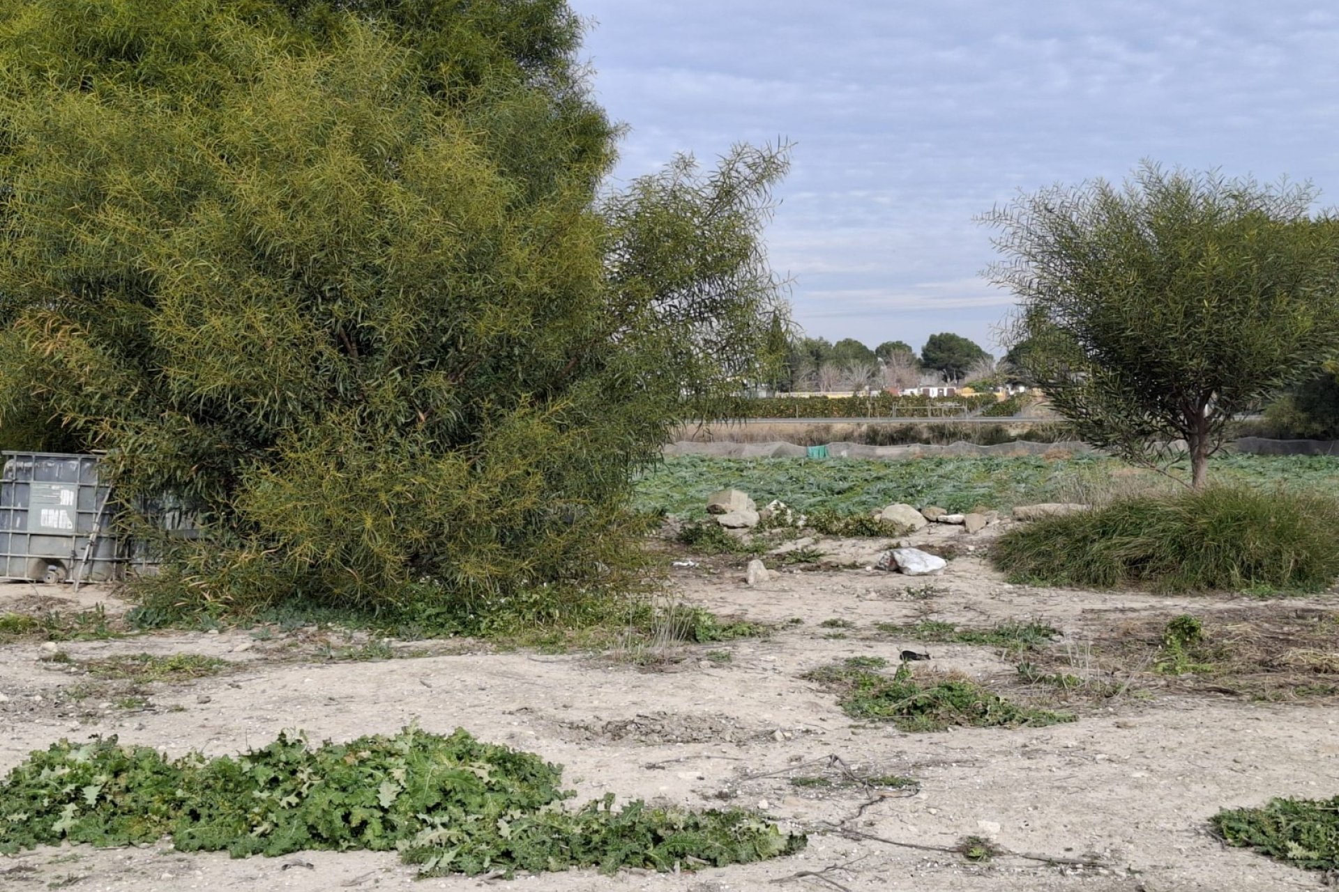 Sale - Parcelle - San Fulgencio