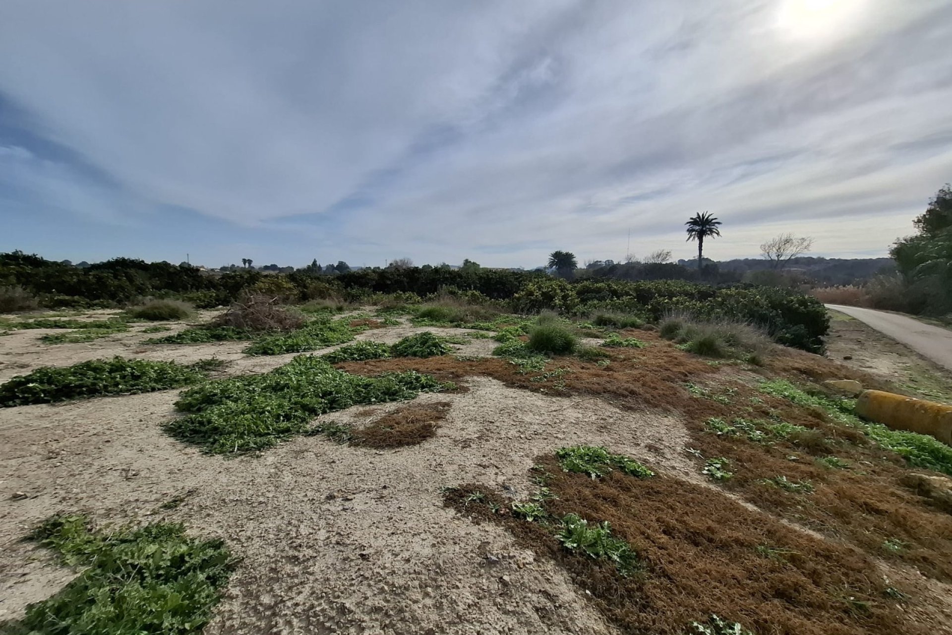 Sale - Parcelle - San Fulgencio