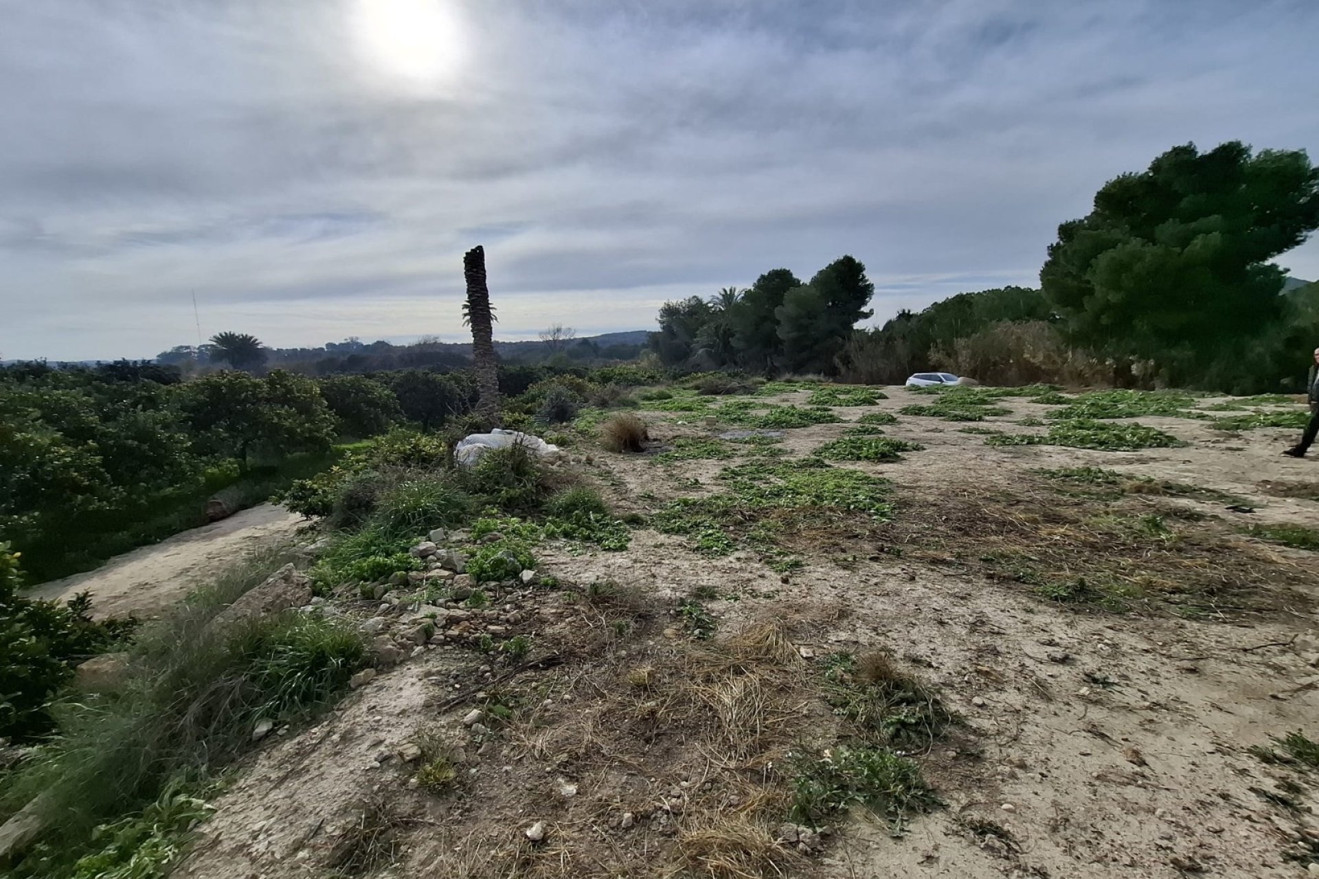 Sale - Parcelle - San Fulgencio