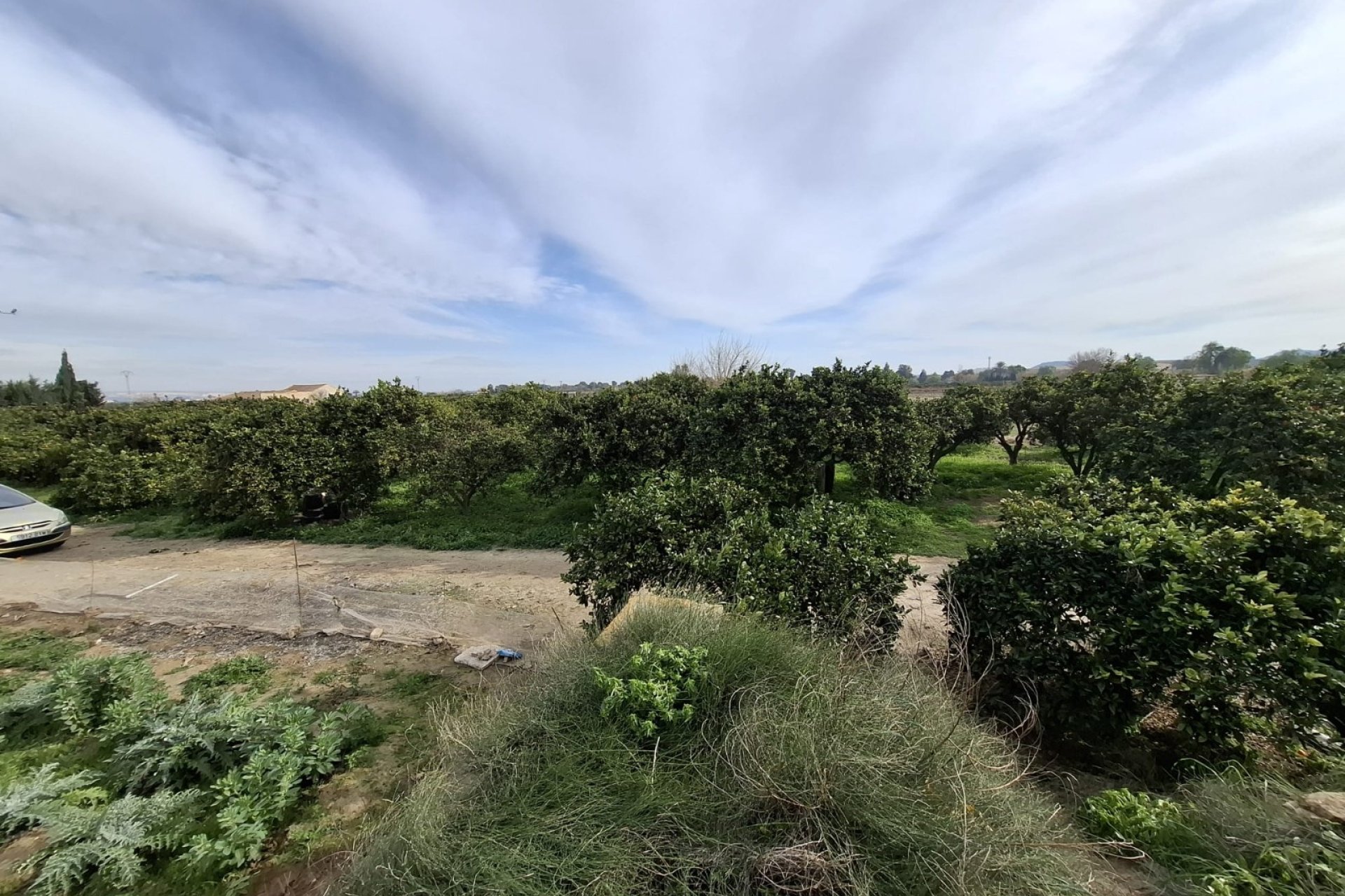 Sale - Parcelle - San Fulgencio