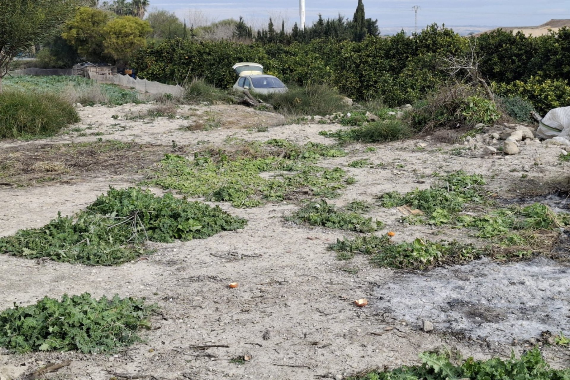 Sale - Parcelle - San Fulgencio