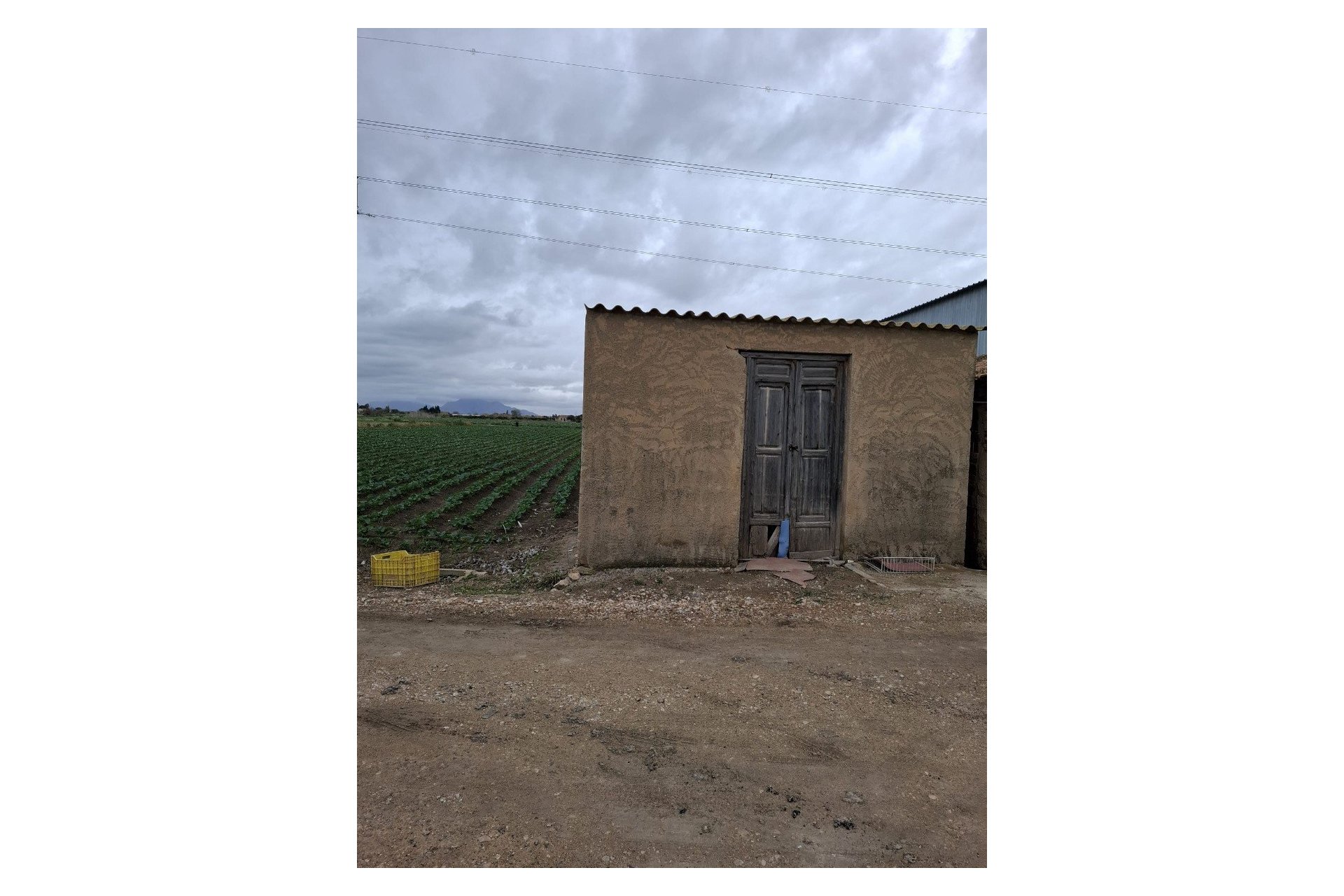 Sale - Parcelle - San Fulgencio