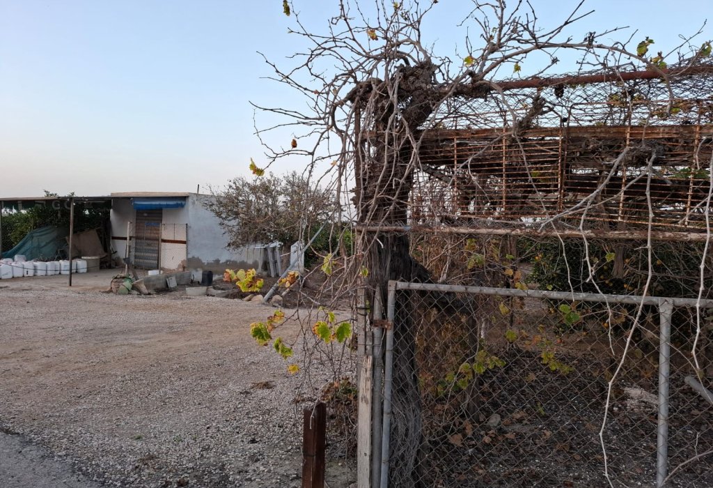 Sale - Plot - Guardamar del Segura - Guardamar Playa
