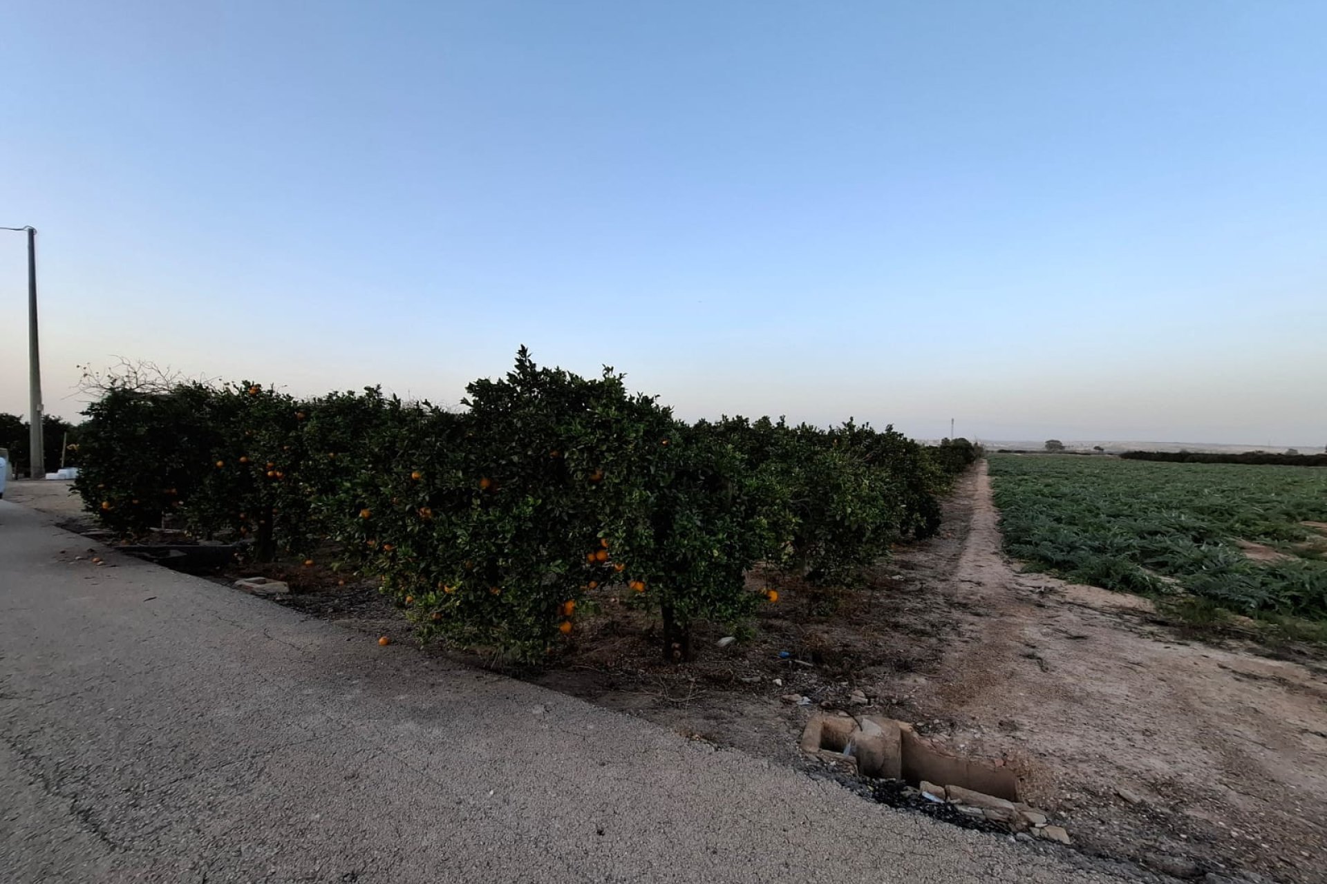 Sale - Plot - Guardamar del Segura - Guardamar Playa