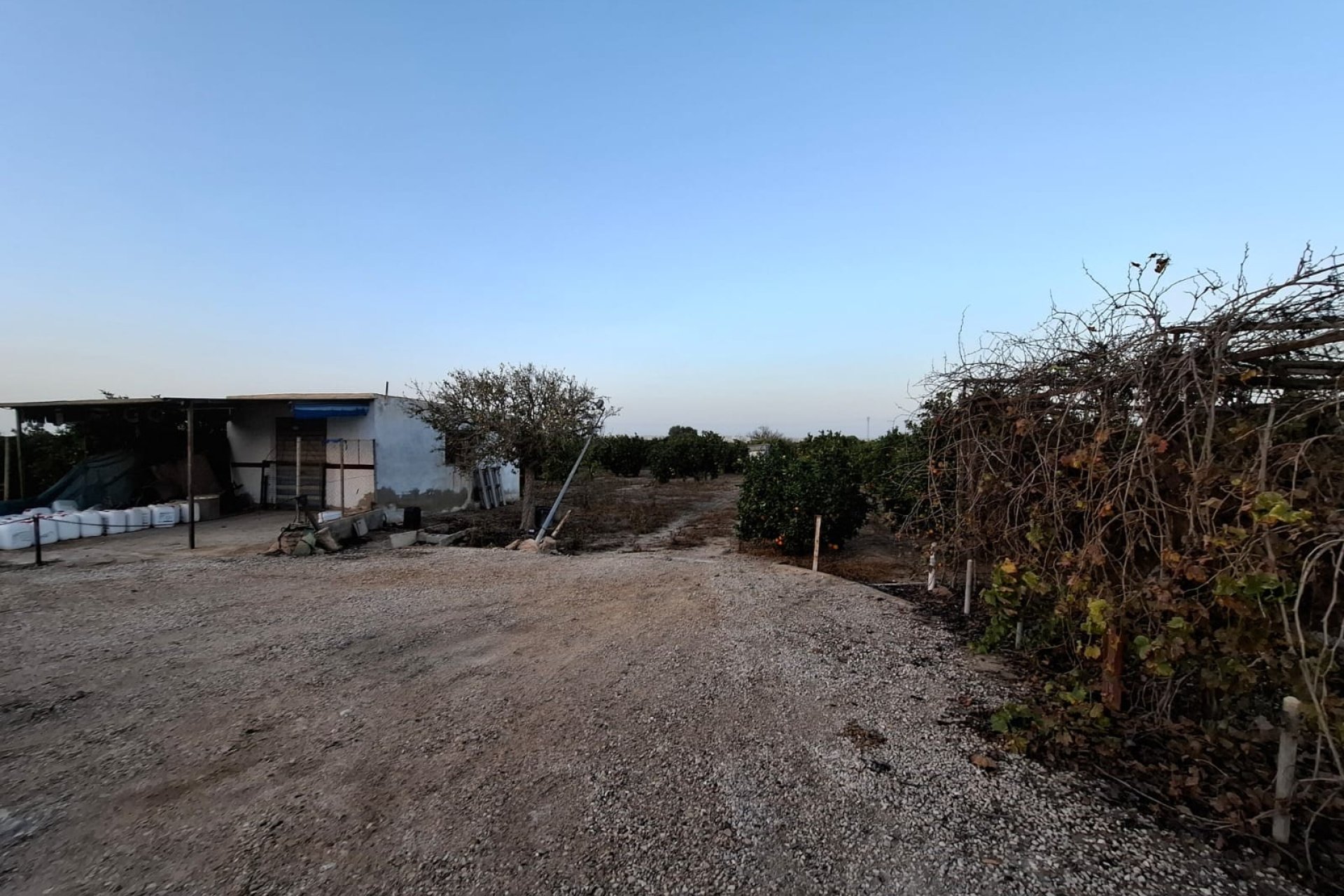 Sale - Plot - Guardamar del Segura - Guardamar Playa