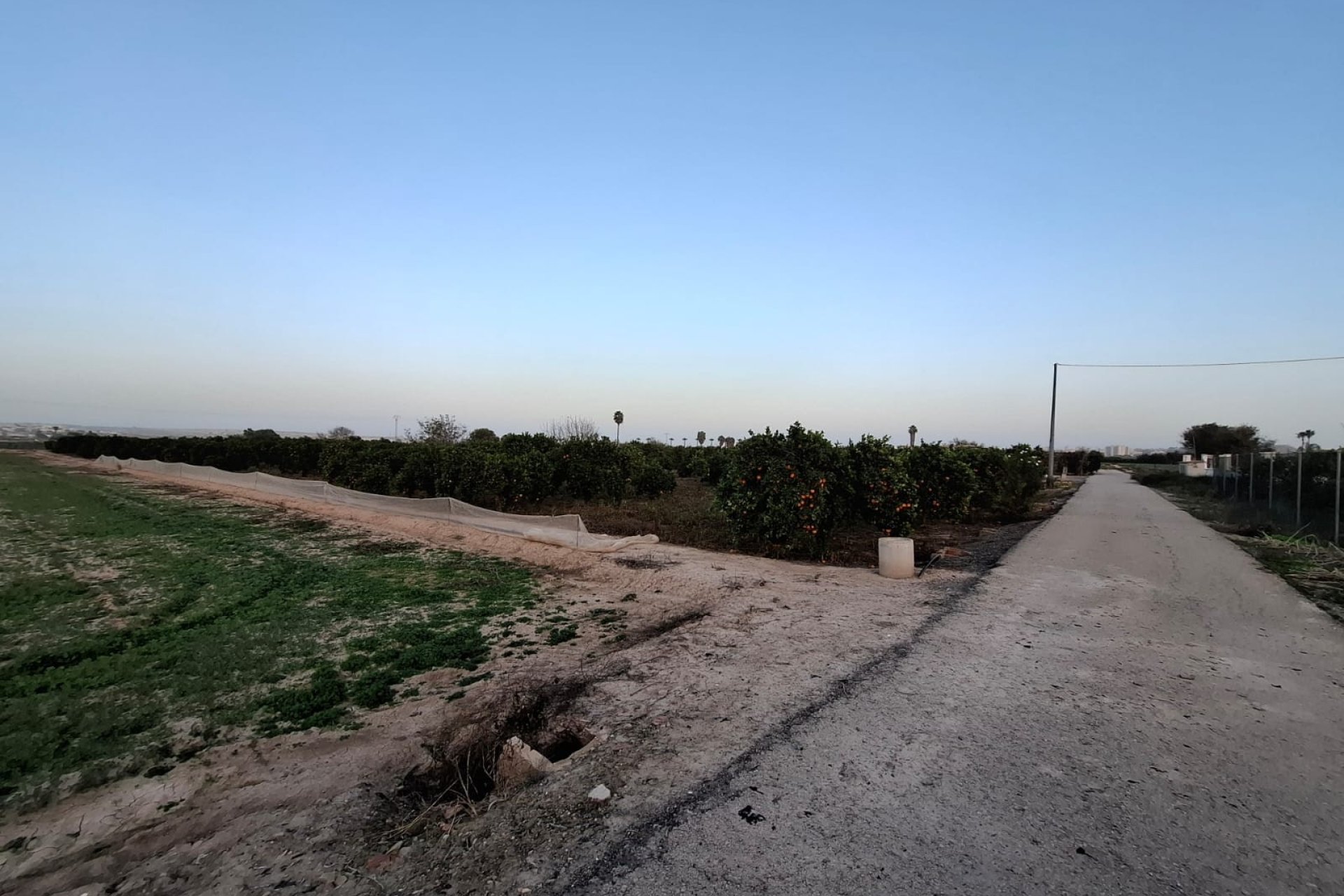Sale - Plot - Guardamar del Segura - Guardamar Playa