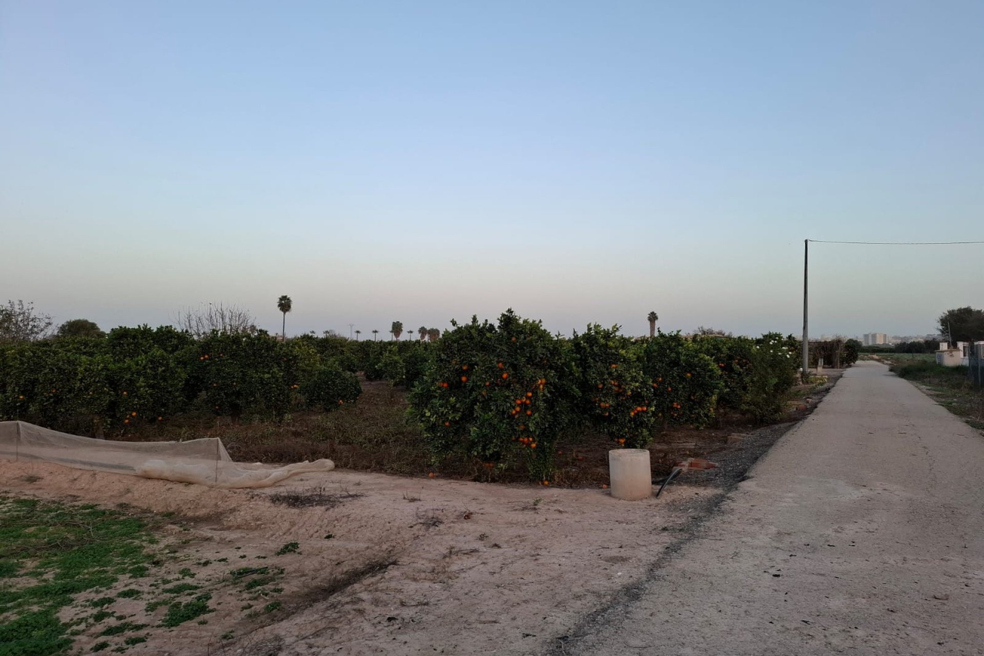 Sale - Plot - Guardamar del Segura - Guardamar Playa