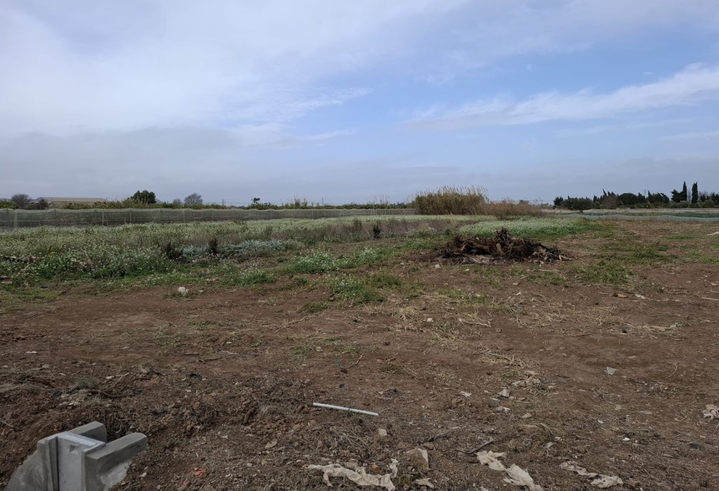 Sale - Plot - Guardamar del Segura - Guardamar Playa
