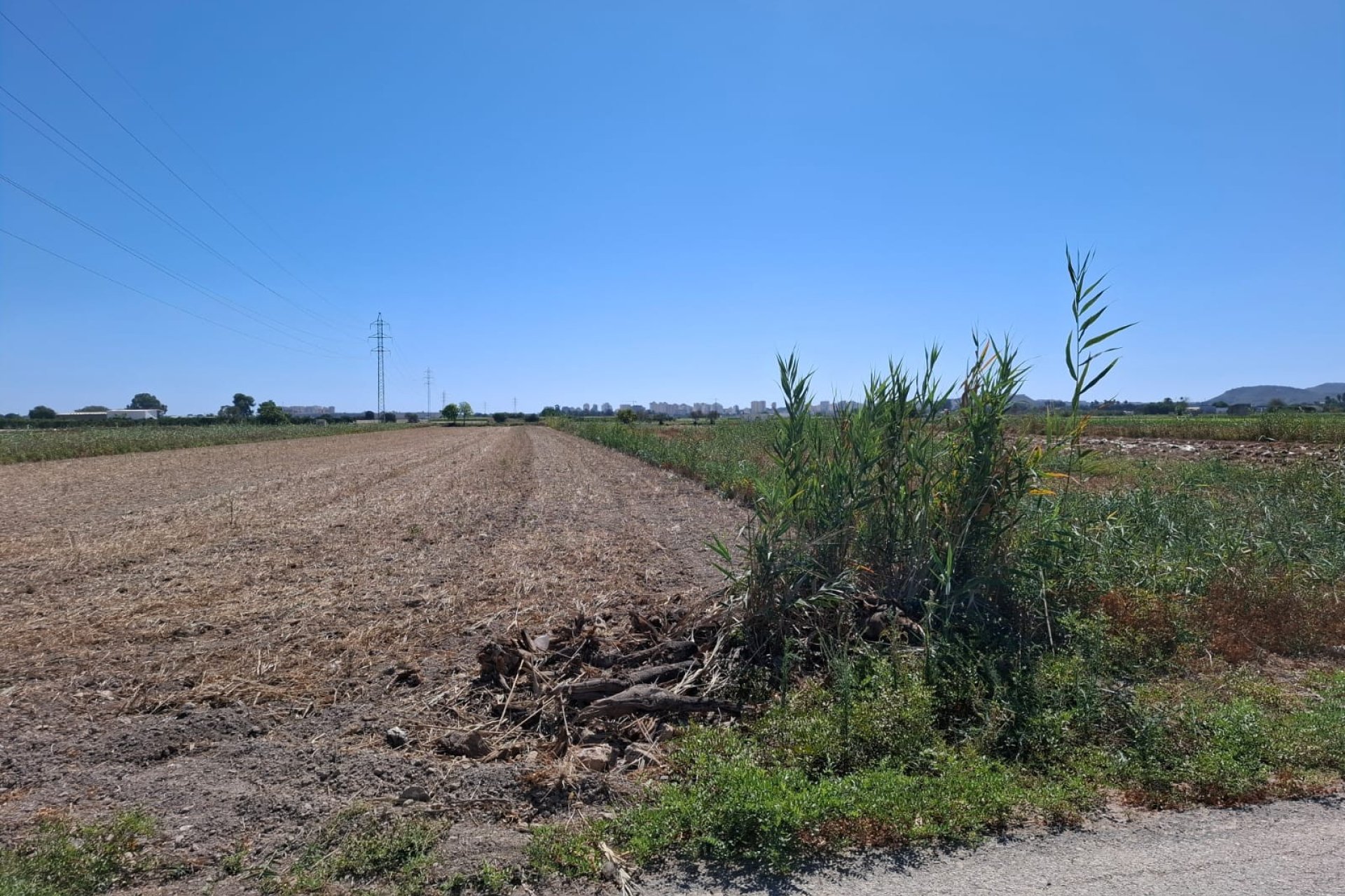 Sale - Plot - Guardamar del Segura - Guardamar Playa