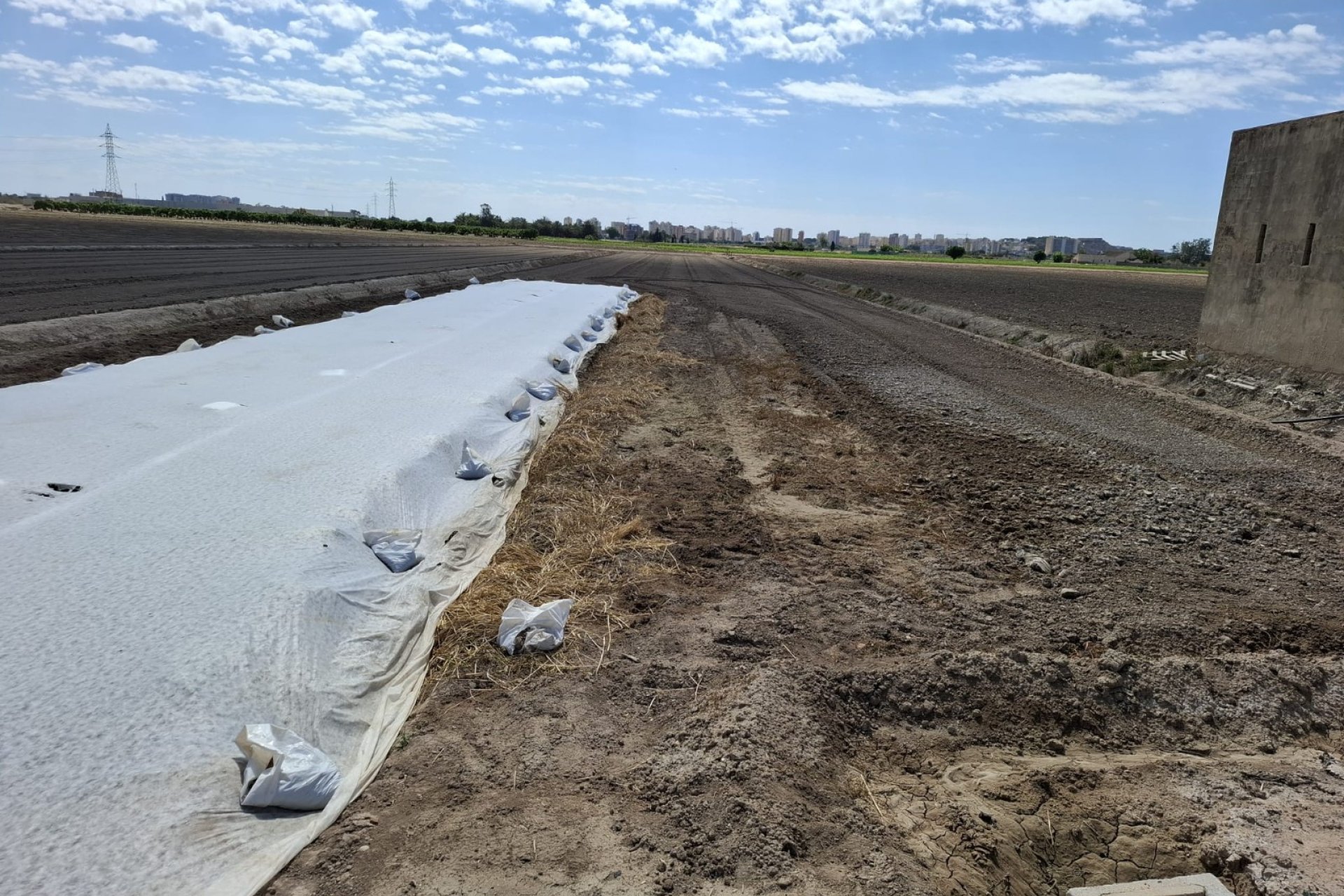 Sale - Plot - Guardamar del Segura - Guardamar Playa