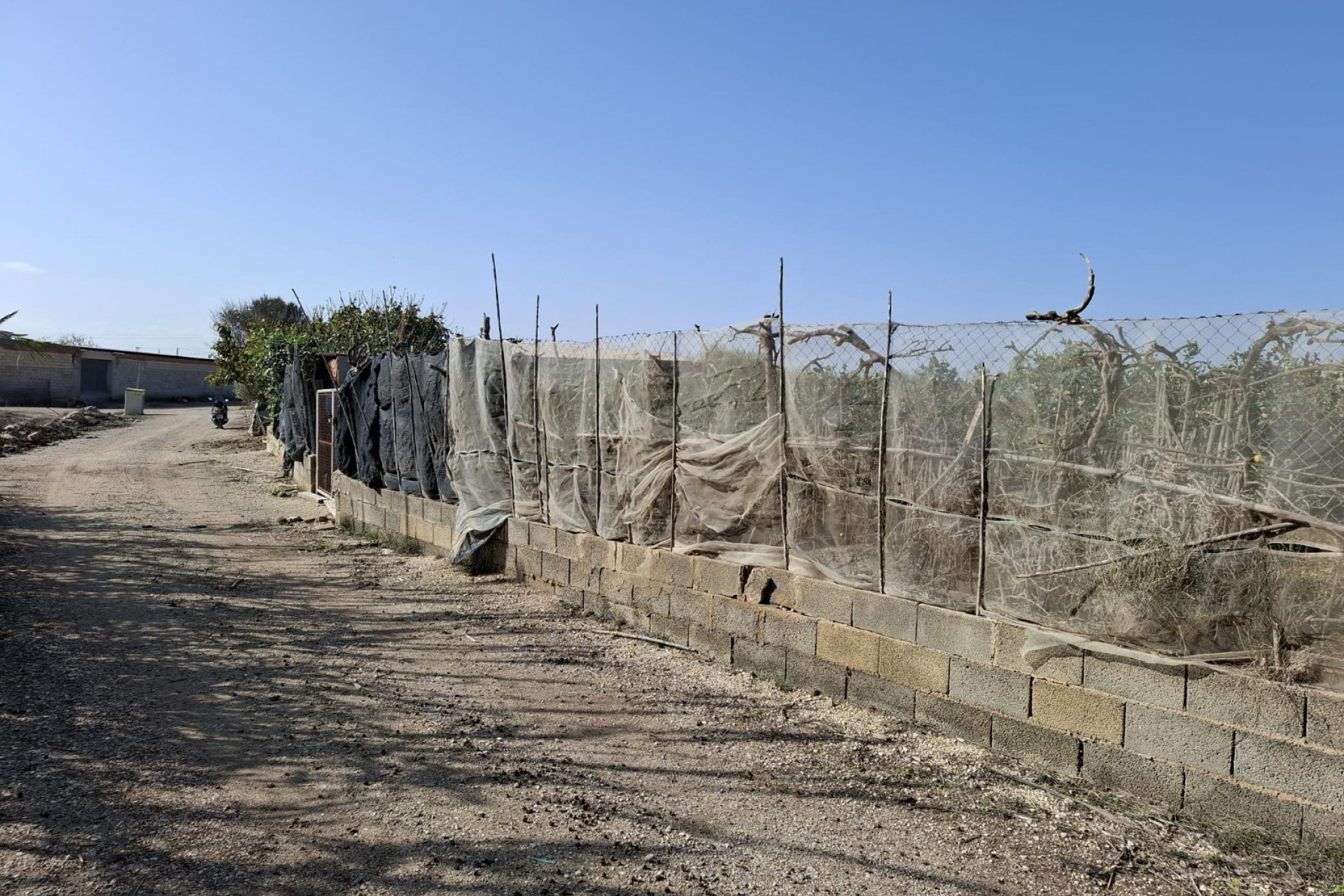 Sale - Plot - Guardamar del Segura - Guardamar pueblo