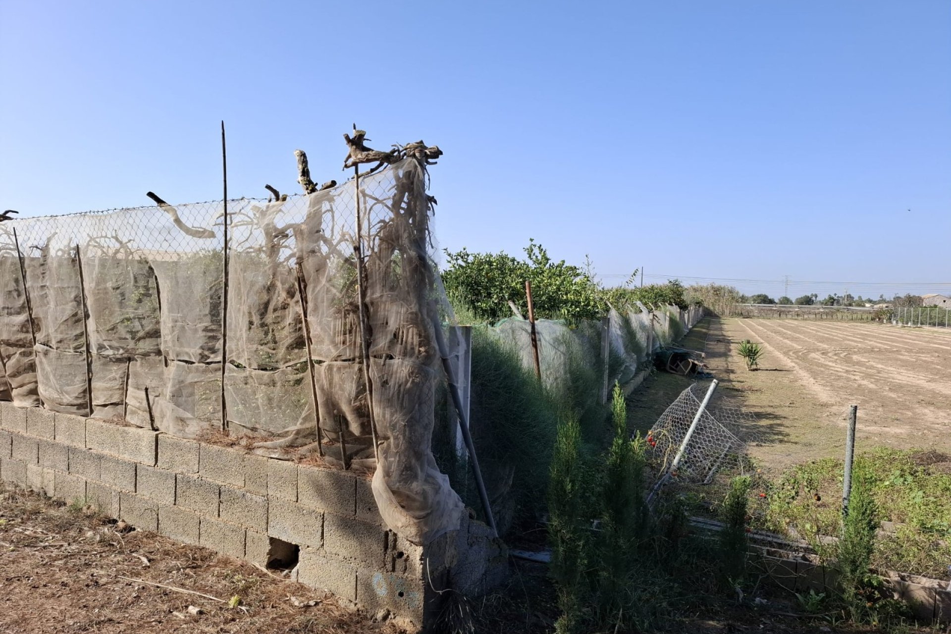 Sale - Plot - Guardamar del Segura - Guardamar pueblo