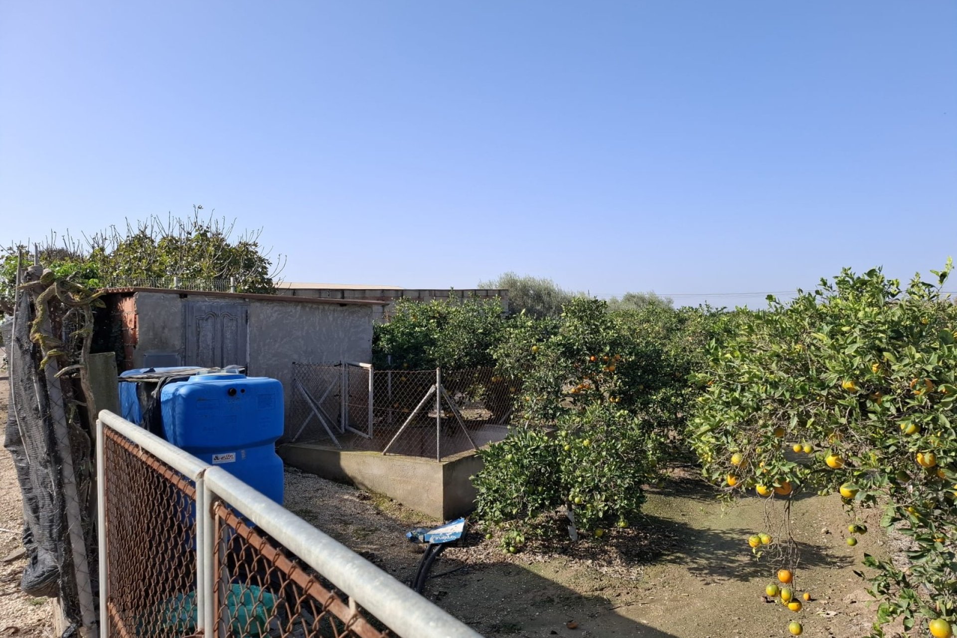 Sale - Plot - Guardamar del Segura - Guardamar pueblo