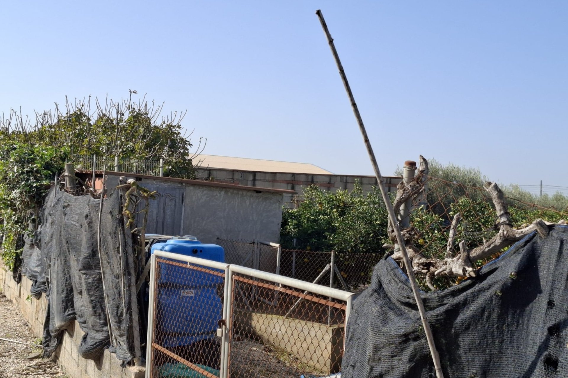 Sale - Plot - Guardamar del Segura - Guardamar pueblo