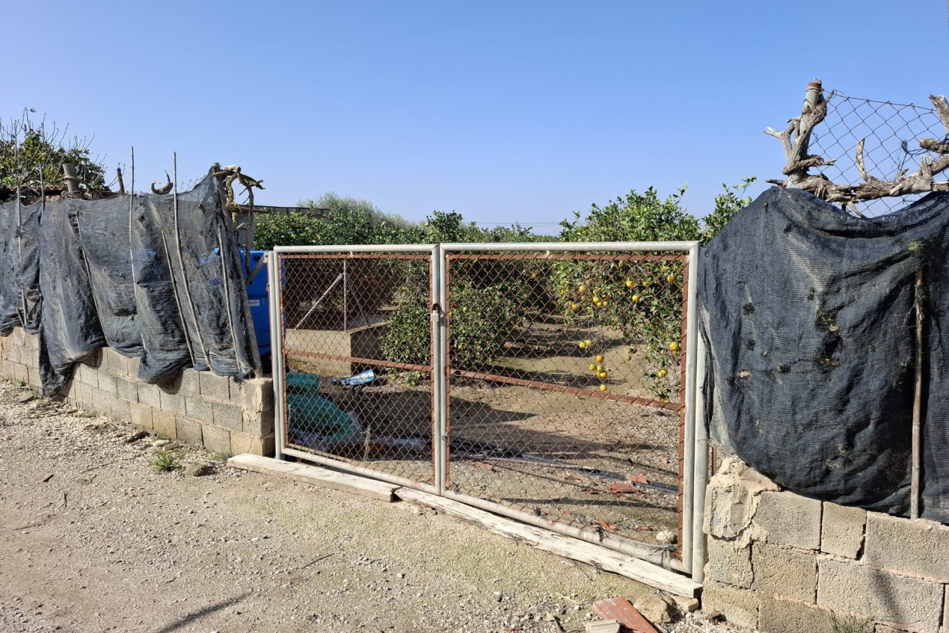 Sale - Plot - Guardamar del Segura - Guardamar pueblo