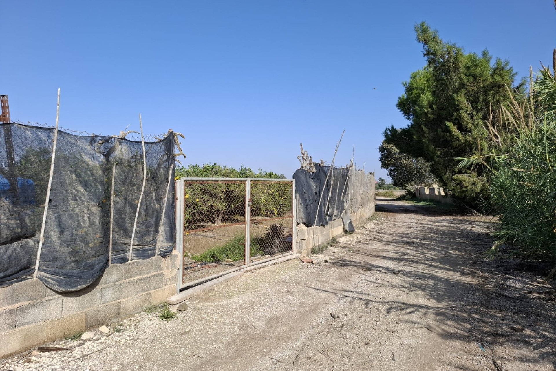 Sale - Plot - Guardamar del Segura - Guardamar pueblo