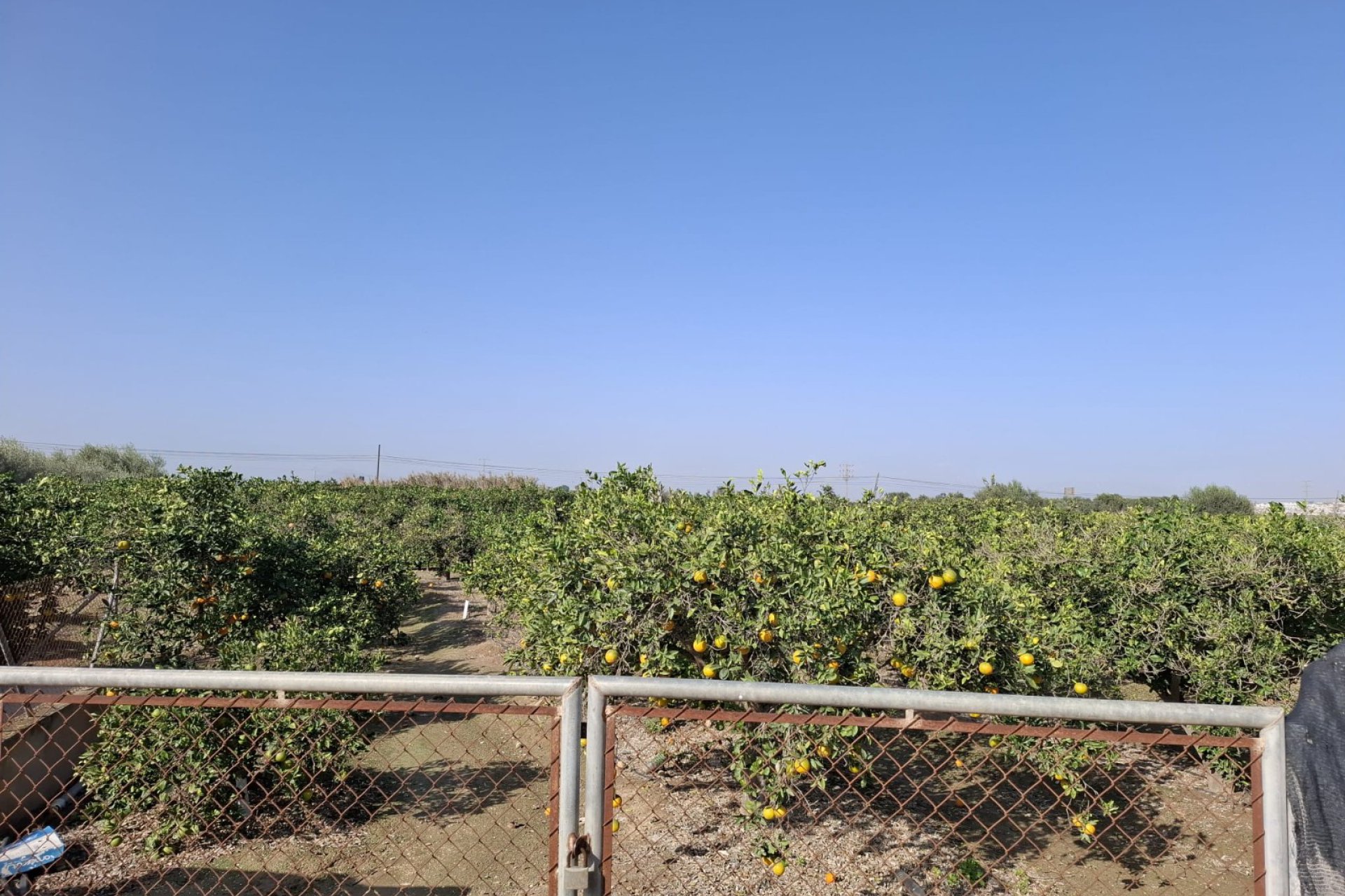 Sale - Plot - Guardamar del Segura - Guardamar pueblo