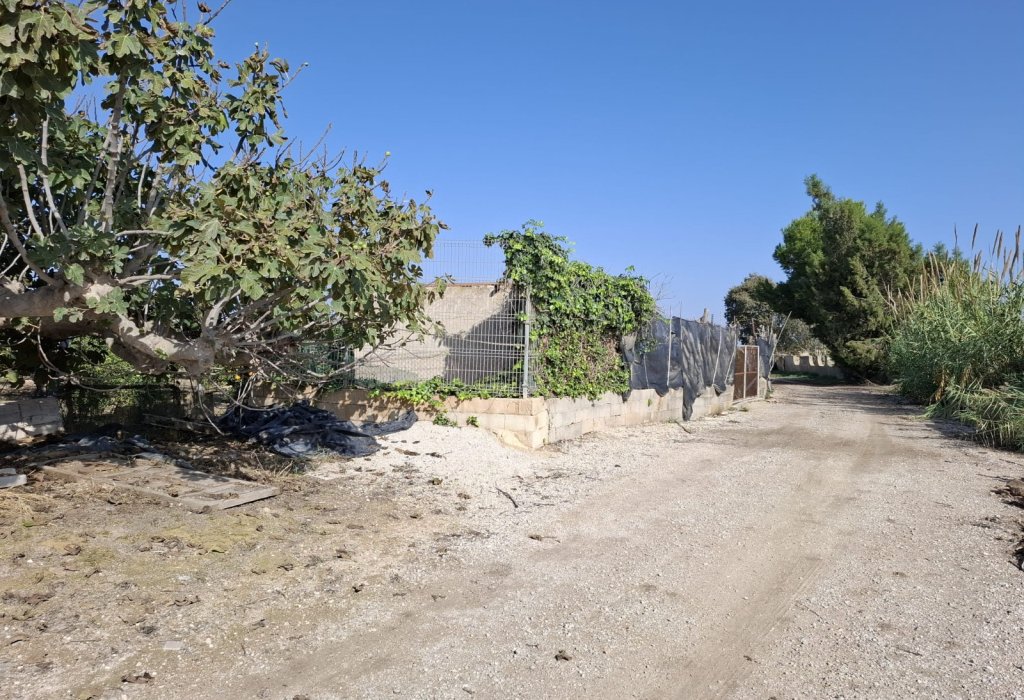 Sale - Plot - Guardamar del Segura - Guardamar pueblo