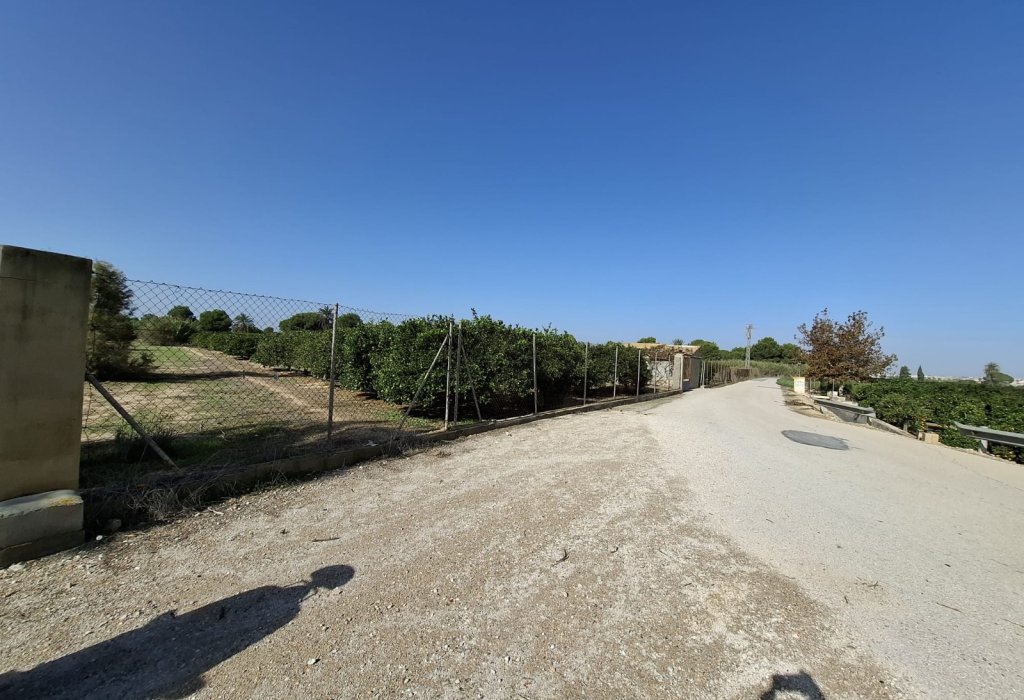 Sale - Plot - Guardamar del Segura - Guardamar pueblo
