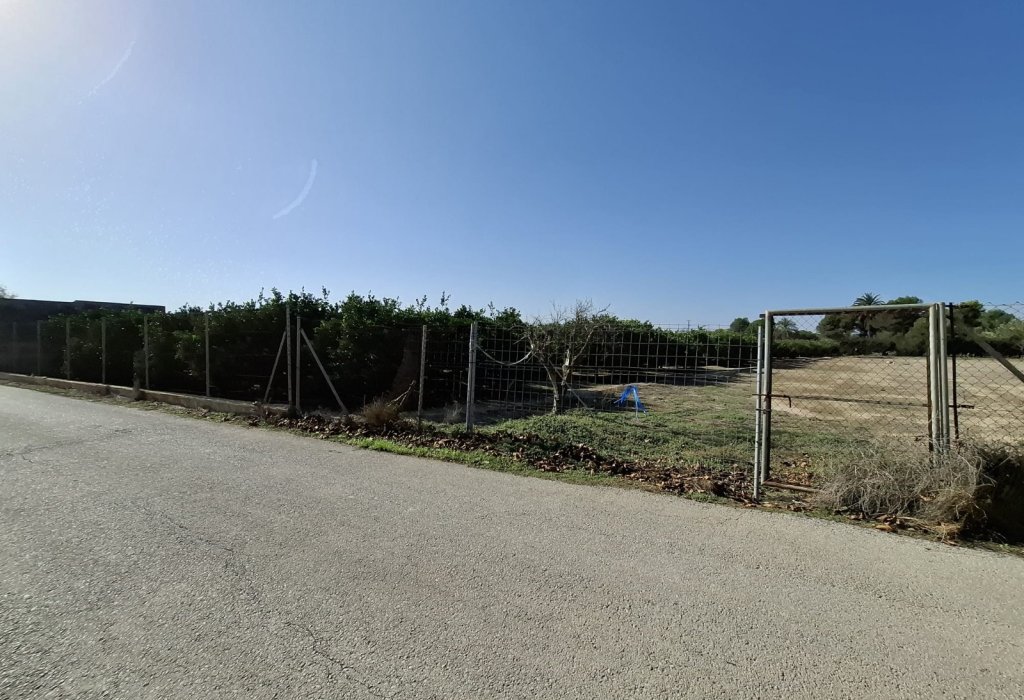 Sale - Plot - Guardamar del Segura - Guardamar pueblo