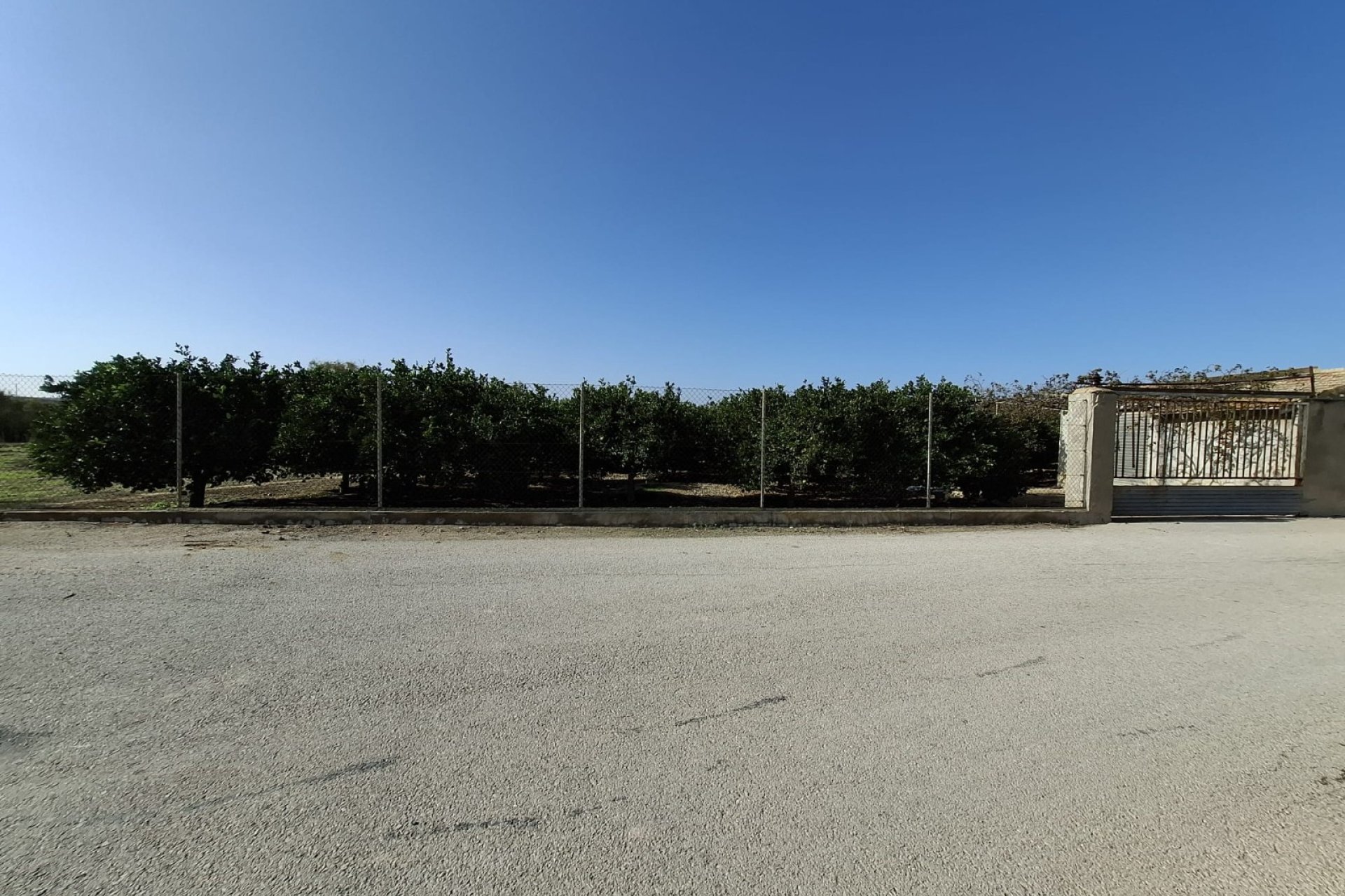 Sale - Plot - Guardamar del Segura - Guardamar pueblo