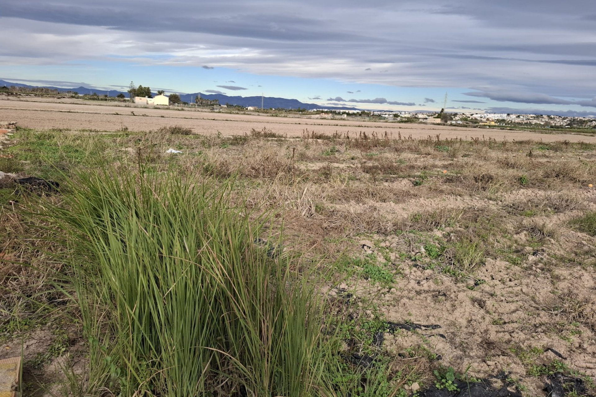Sale - Plot - Guardamar del Segura - Guardamar pueblo
