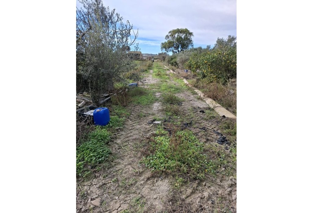 Sale - Plot - Guardamar del Segura - Guardamar pueblo