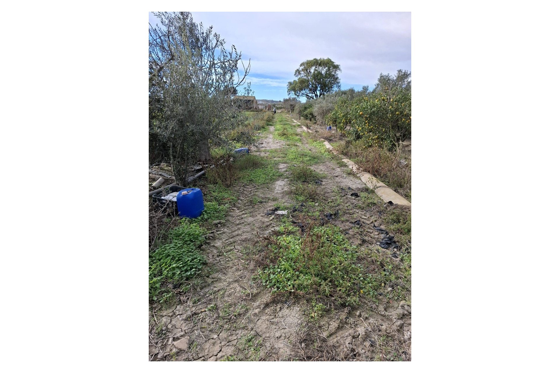 Sale - Plot - Guardamar del Segura - Guardamar pueblo