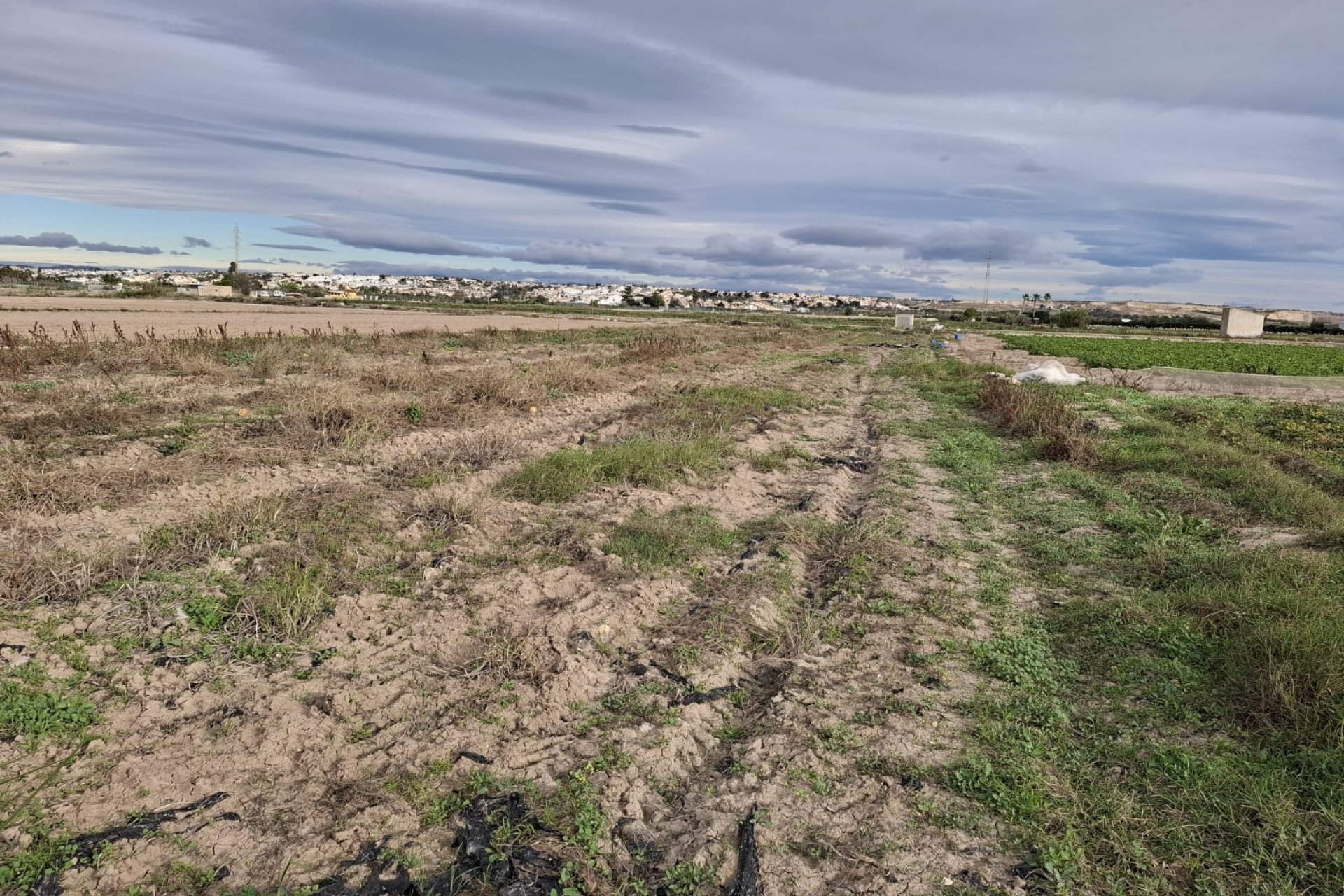 Sale - Plot - Guardamar del Segura - Guardamar pueblo