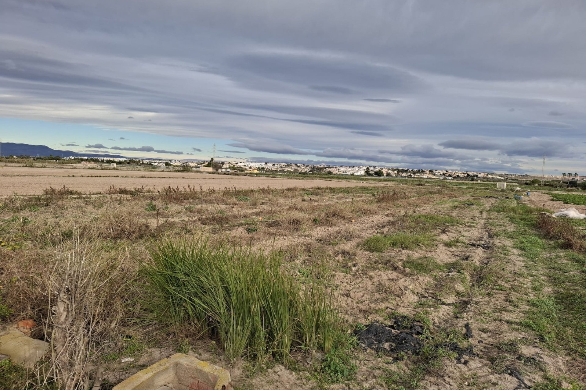 Sale - Plot - Guardamar del Segura - Guardamar pueblo