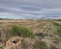 Sale - Plot - Guardamar del Segura - Guardamar pueblo